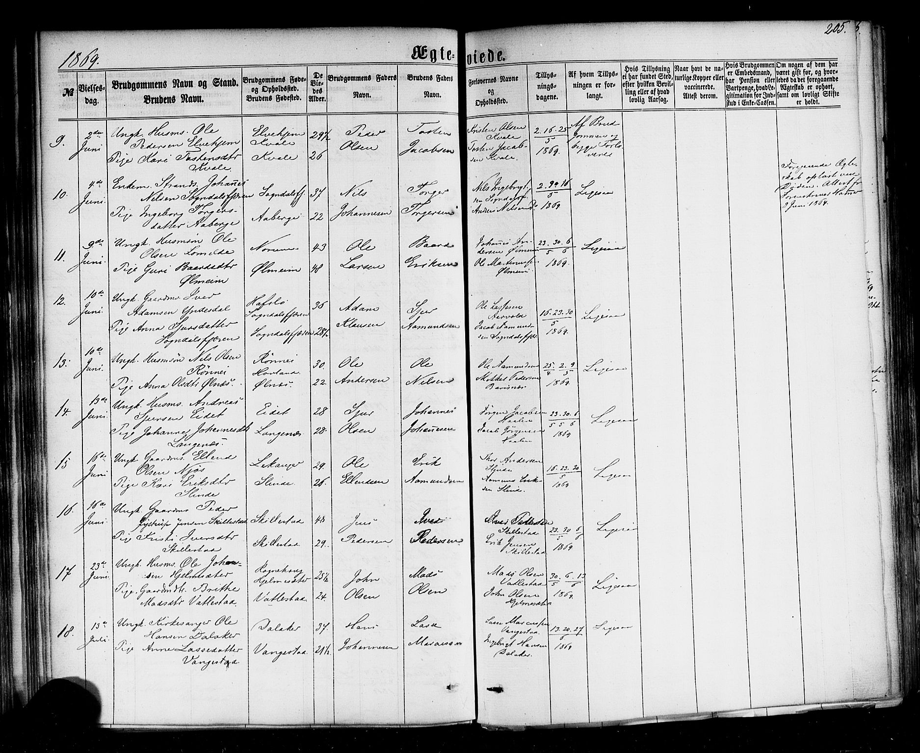 Sogndal sokneprestembete, AV/SAB-A-81301/H/Haa/Haaa/L0013: Parish register (official) no. A 13, 1859-1877, p. 205