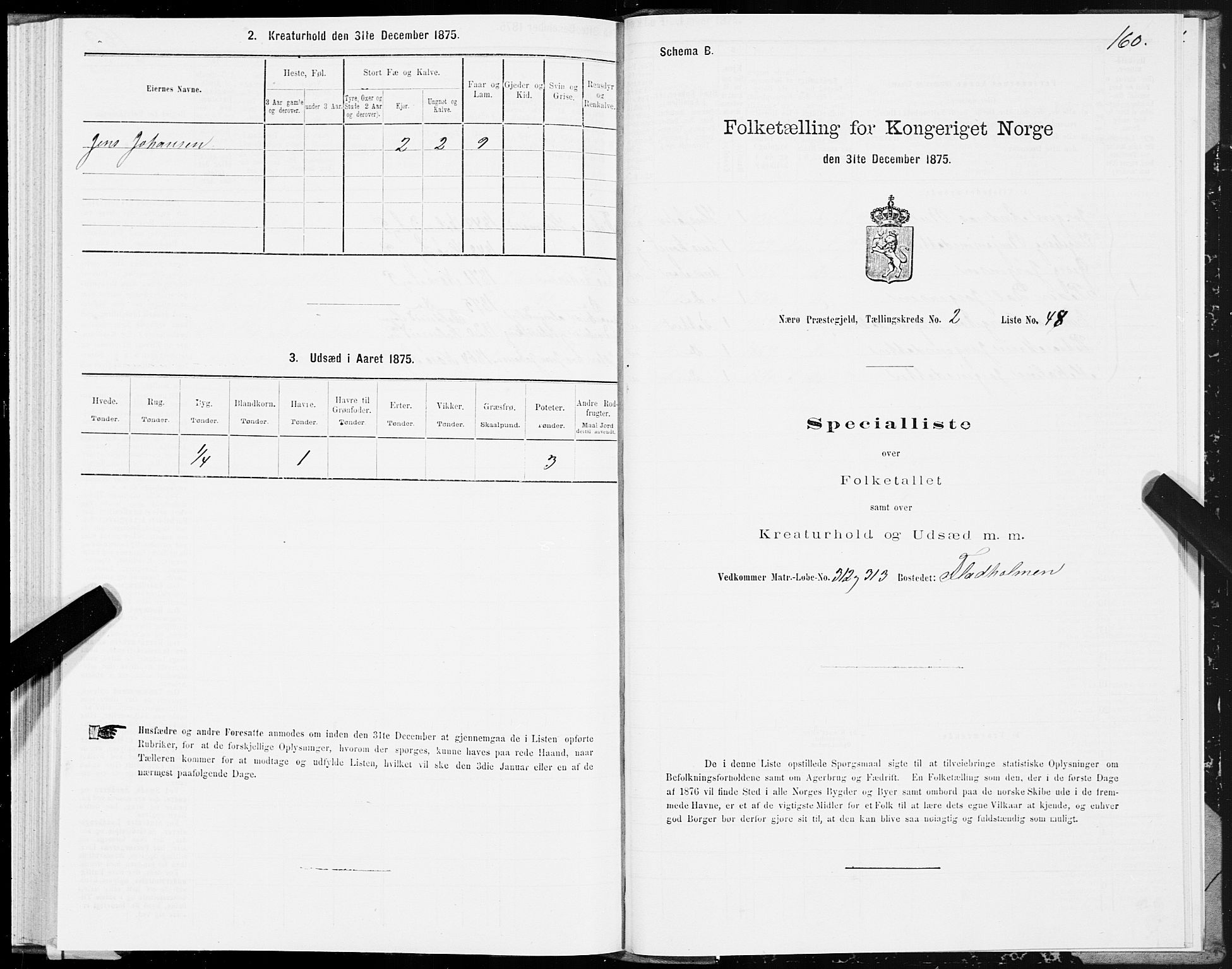 SAT, 1875 census for 1751P Nærøy, 1875, p. 1160