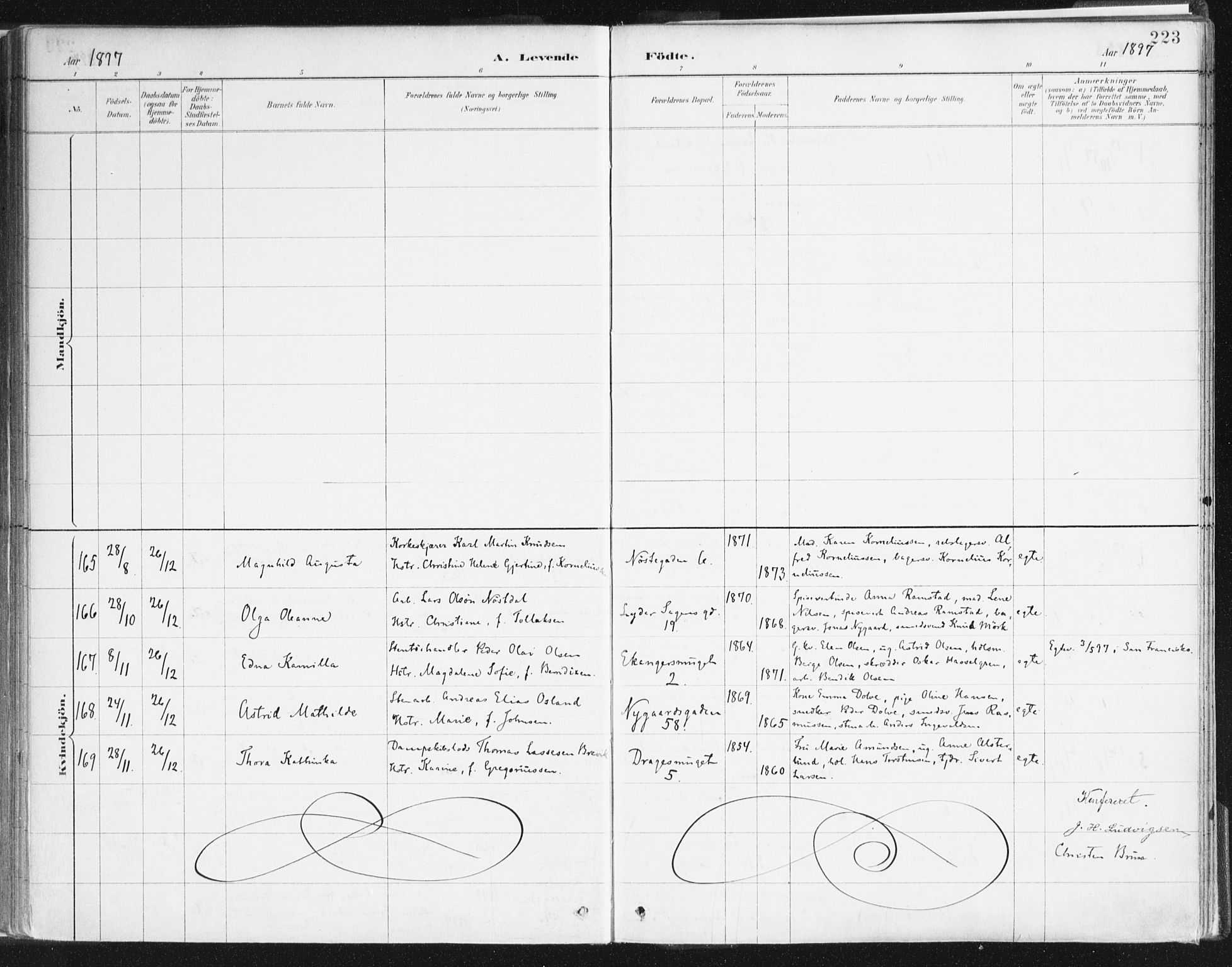 Johanneskirken sokneprestembete, SAB/A-76001/H/Haa/L0001: Parish register (official) no. A 1, 1885-1900, p. 223