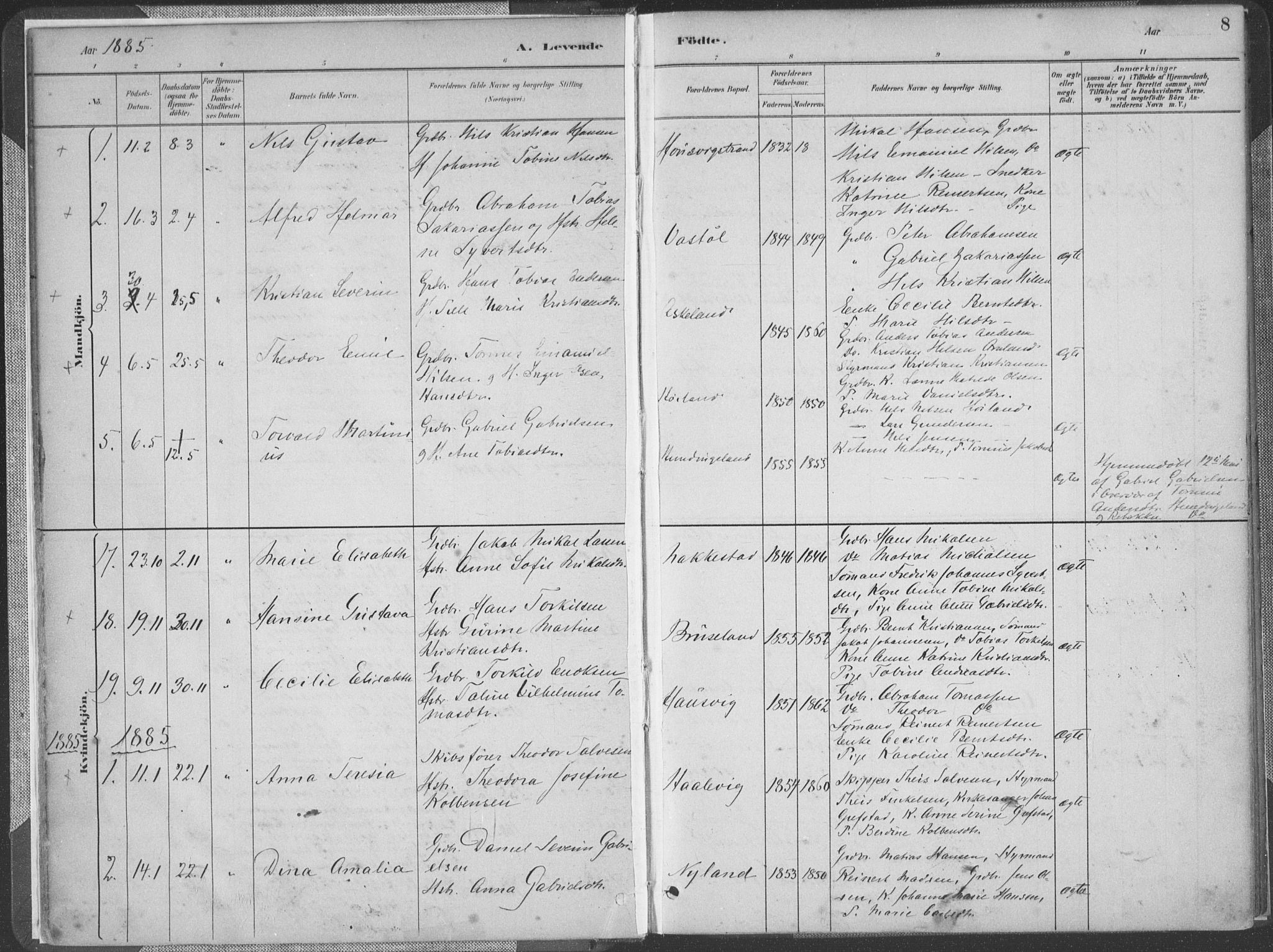 Lyngdal sokneprestkontor, AV/SAK-1111-0029/F/Fa/Faa/L0004: Parish register (official) no. A 4, 1883-1904, p. 8