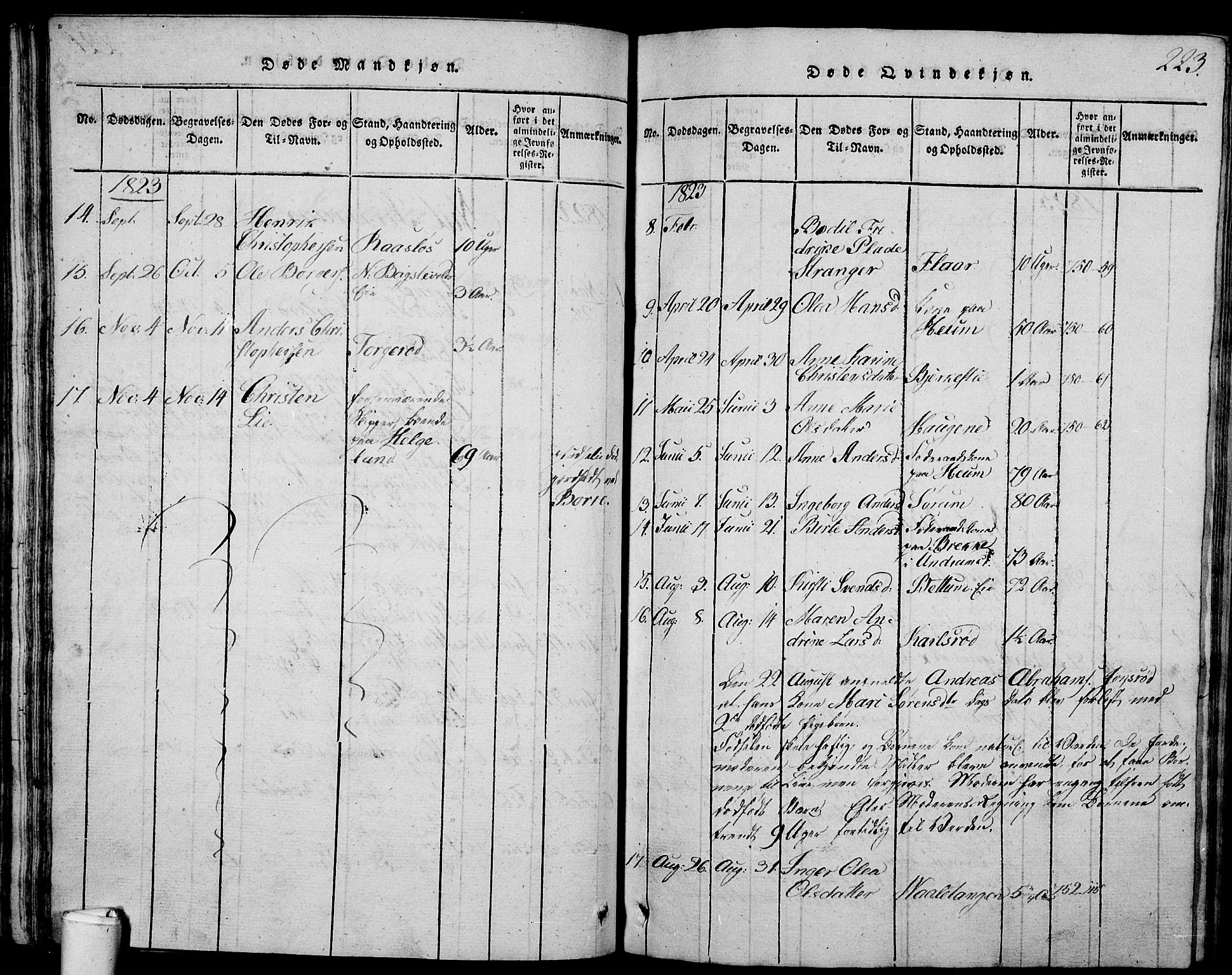 Våle kirkebøker, AV/SAKO-A-334/G/Ga/L0001: Parish register (copy) no. I 1, 1814-1824, p. 222-223