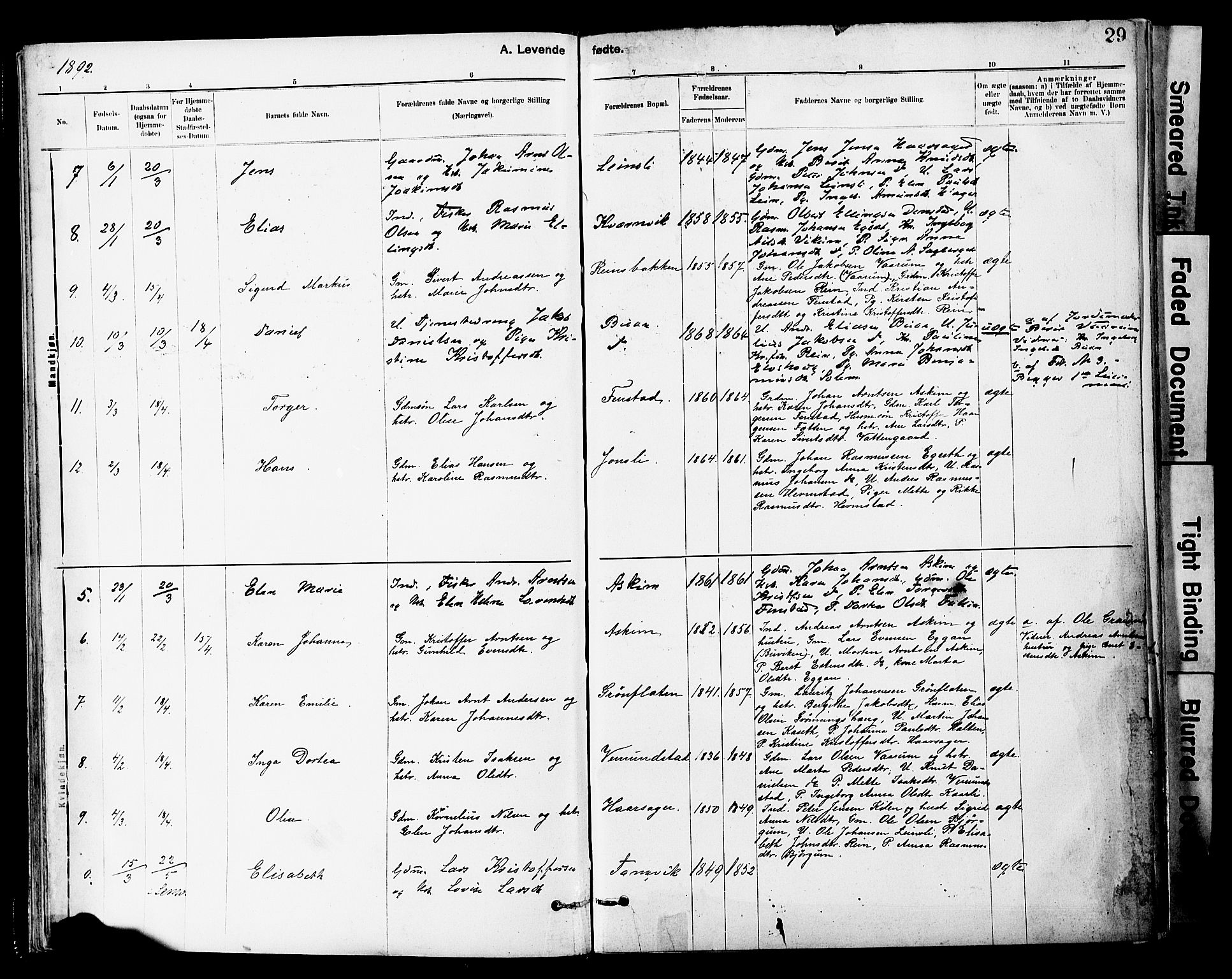 Ministerialprotokoller, klokkerbøker og fødselsregistre - Sør-Trøndelag, SAT/A-1456/646/L0615: Parish register (official) no. 646A13, 1885-1900, p. 29