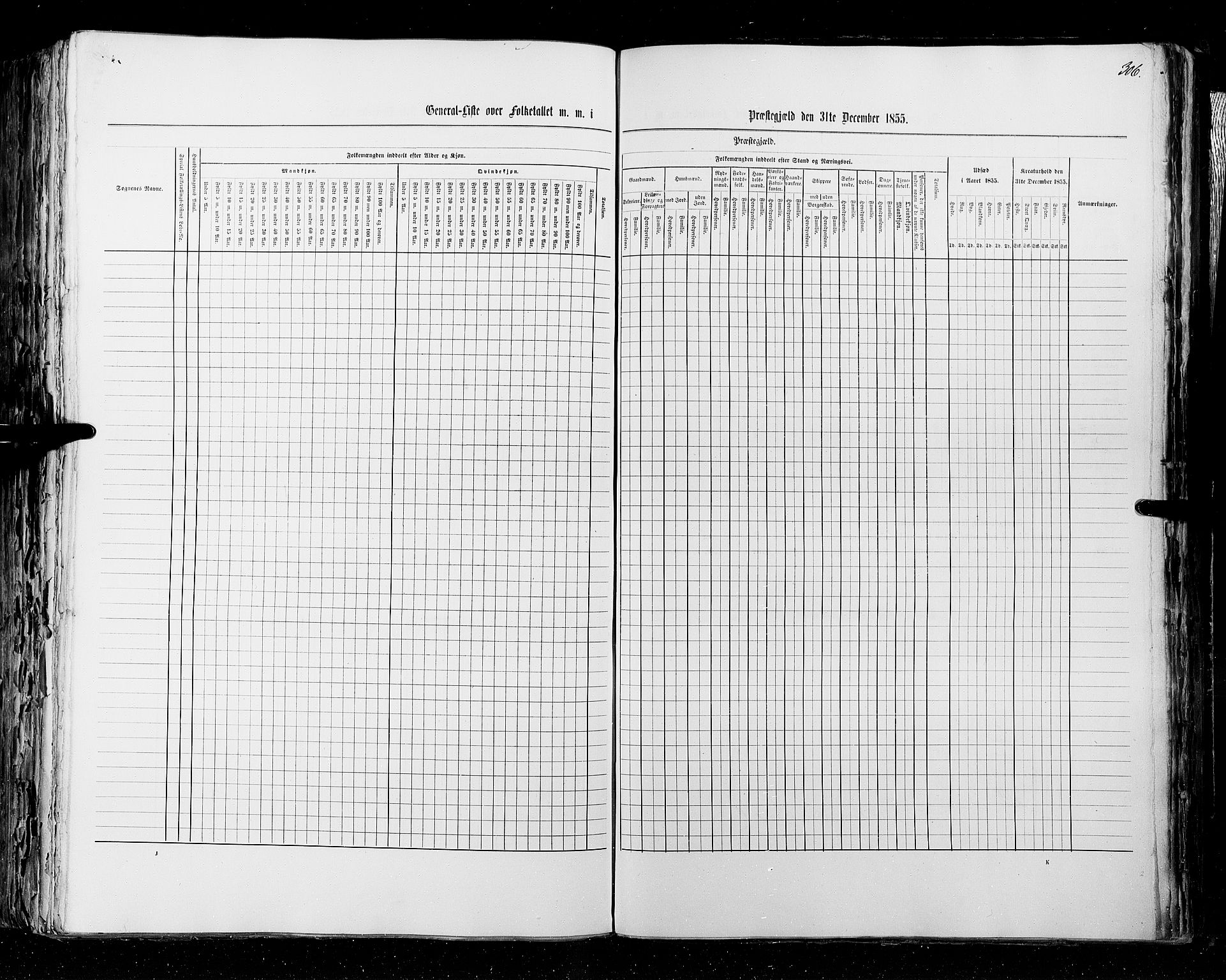 RA, Census 1855, vol. 2: Kristians amt, Buskerud amt og Jarlsberg og Larvik amt, 1855, p. 306