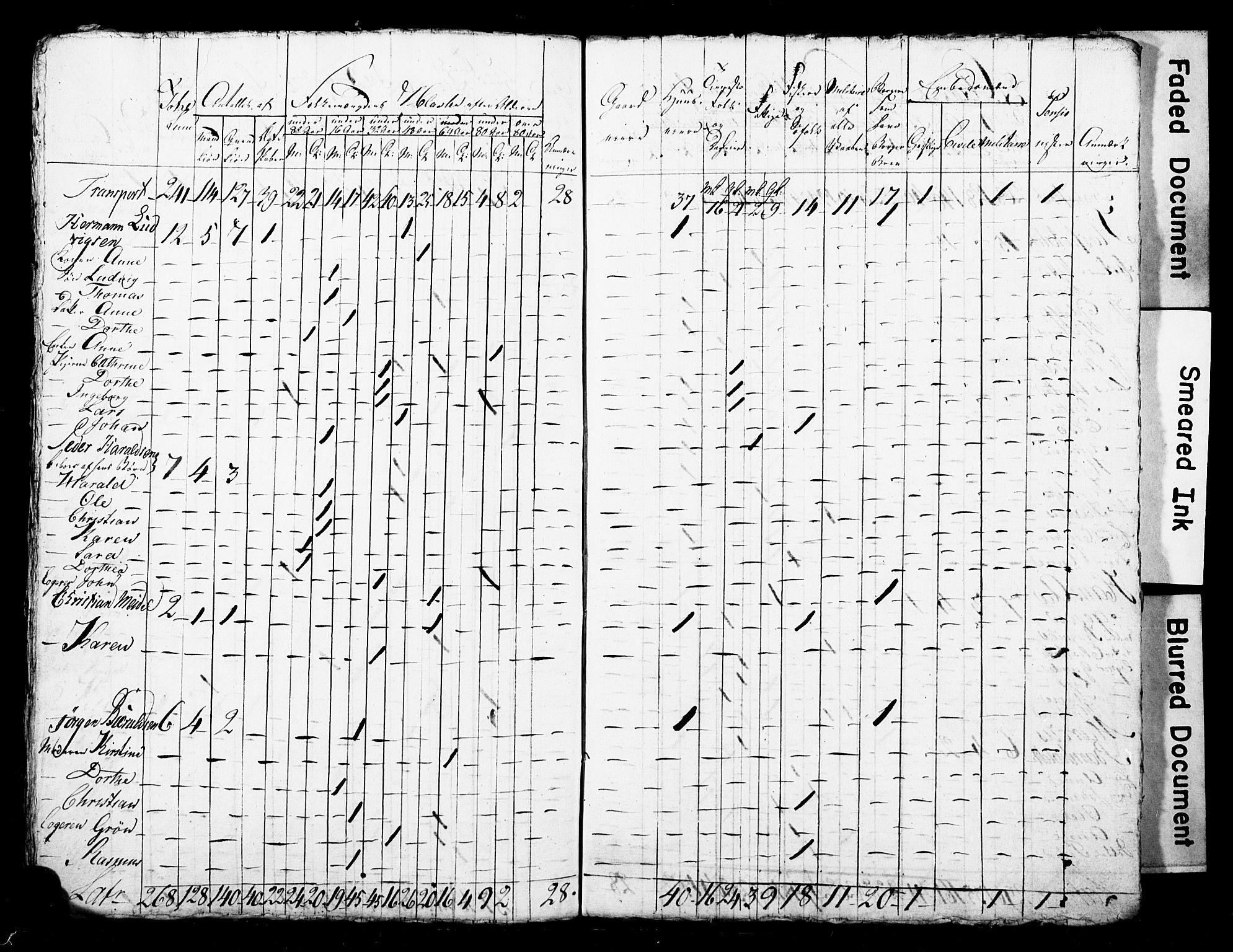 LOK, Census 1815 for Skien, 1815, p. 44