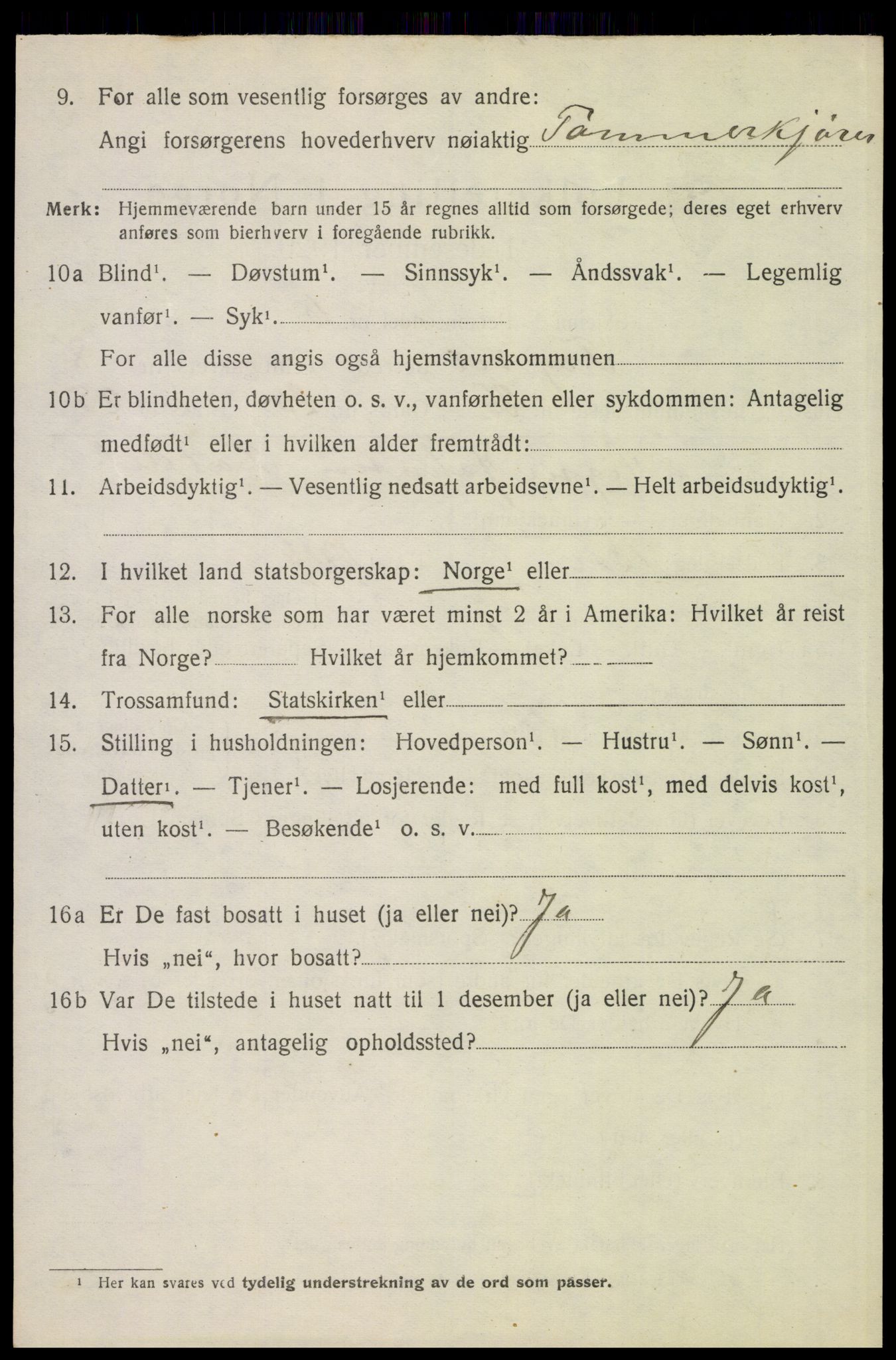 SAH, 1920 census for Trysil, 1920, p. 6540