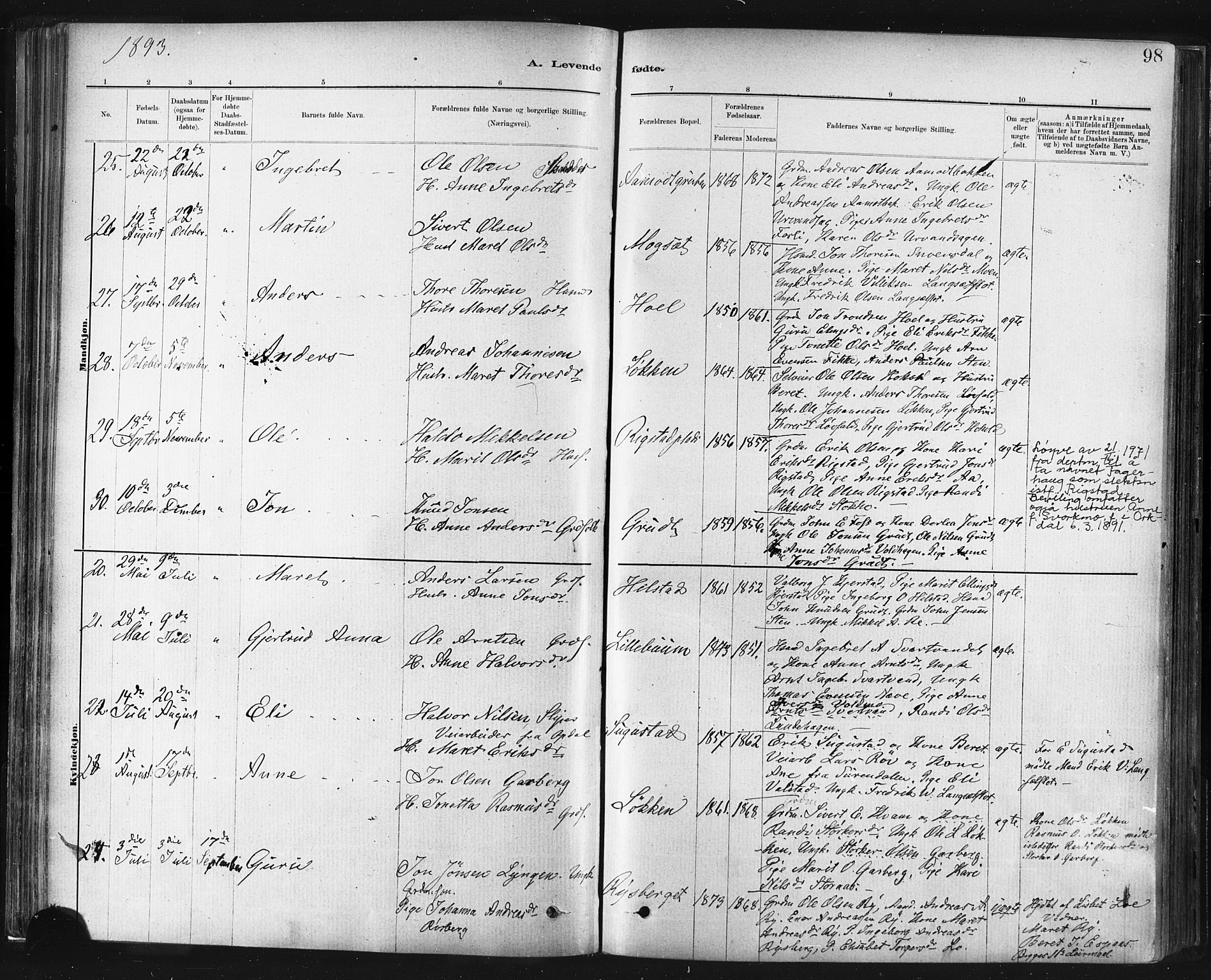 Ministerialprotokoller, klokkerbøker og fødselsregistre - Sør-Trøndelag, AV/SAT-A-1456/672/L0857: Parish register (official) no. 672A09, 1882-1893, p. 98