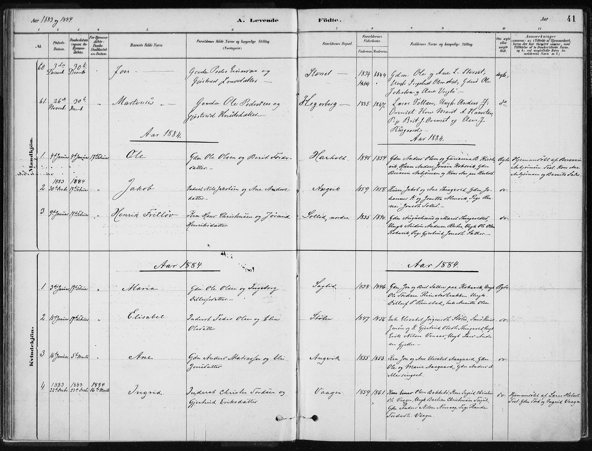 Ministerialprotokoller, klokkerbøker og fødselsregistre - Møre og Romsdal, AV/SAT-A-1454/586/L0987: Parish register (official) no. 586A13, 1879-1892, p. 41