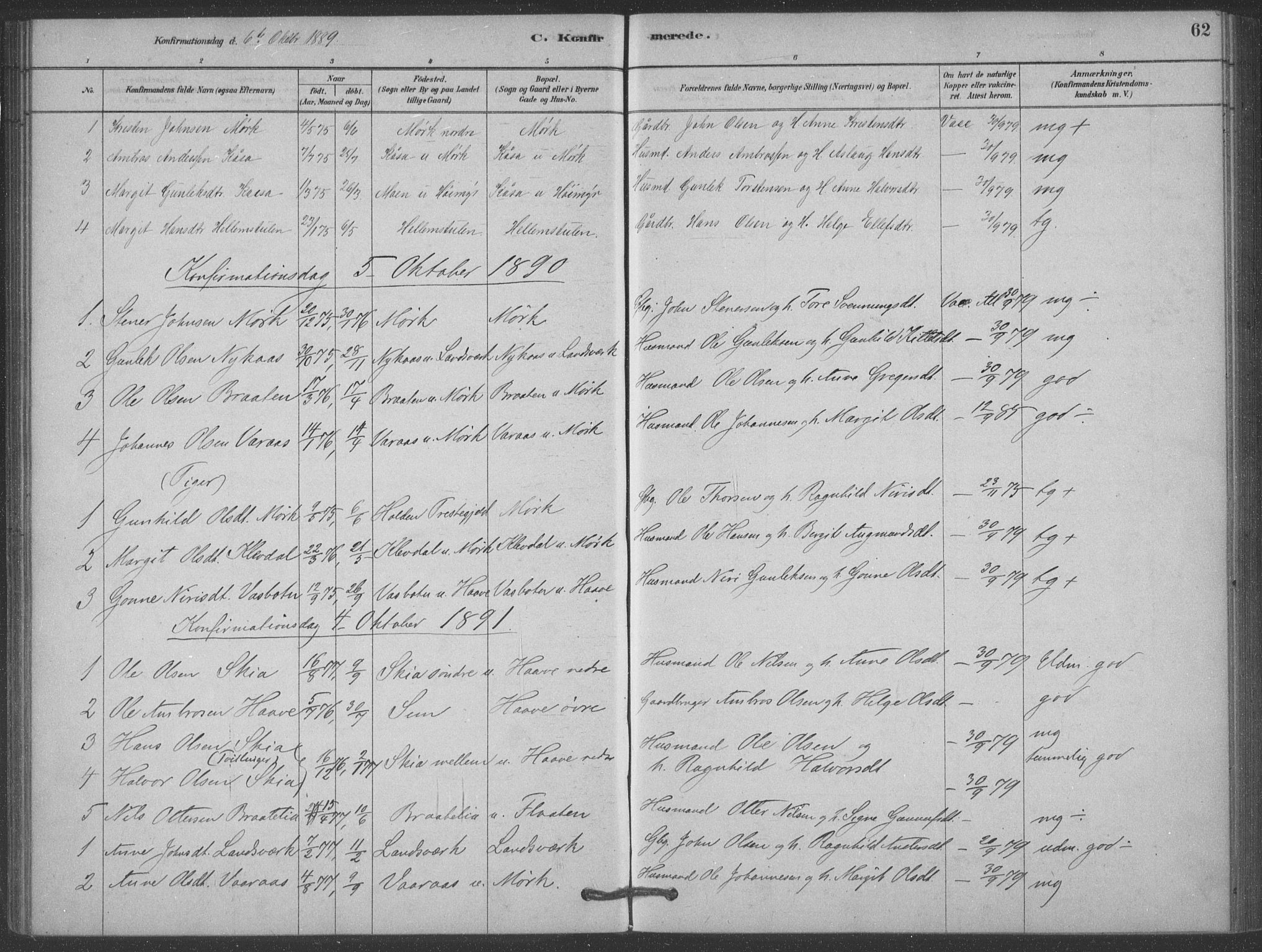 Heddal kirkebøker, AV/SAKO-A-268/F/Fb/L0002: Parish register (official) no. II 2, 1878-1913, p. 62