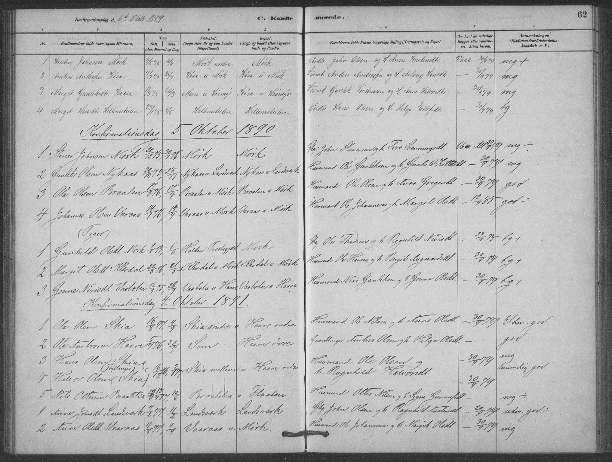 Heddal kirkebøker, SAKO/A-268/F/Fb/L0002: Parish register (official) no. II 2, 1878-1913, p. 62