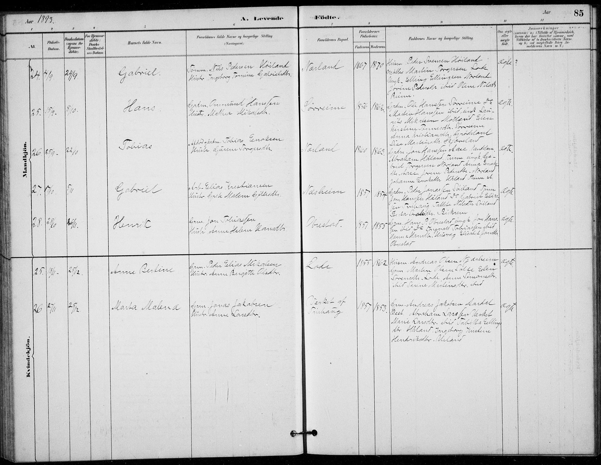 Hå sokneprestkontor, AV/SAST-A-101801/001/30BB/L0003: Parish register (copy) no. B 3, 1883-1894, p. 85