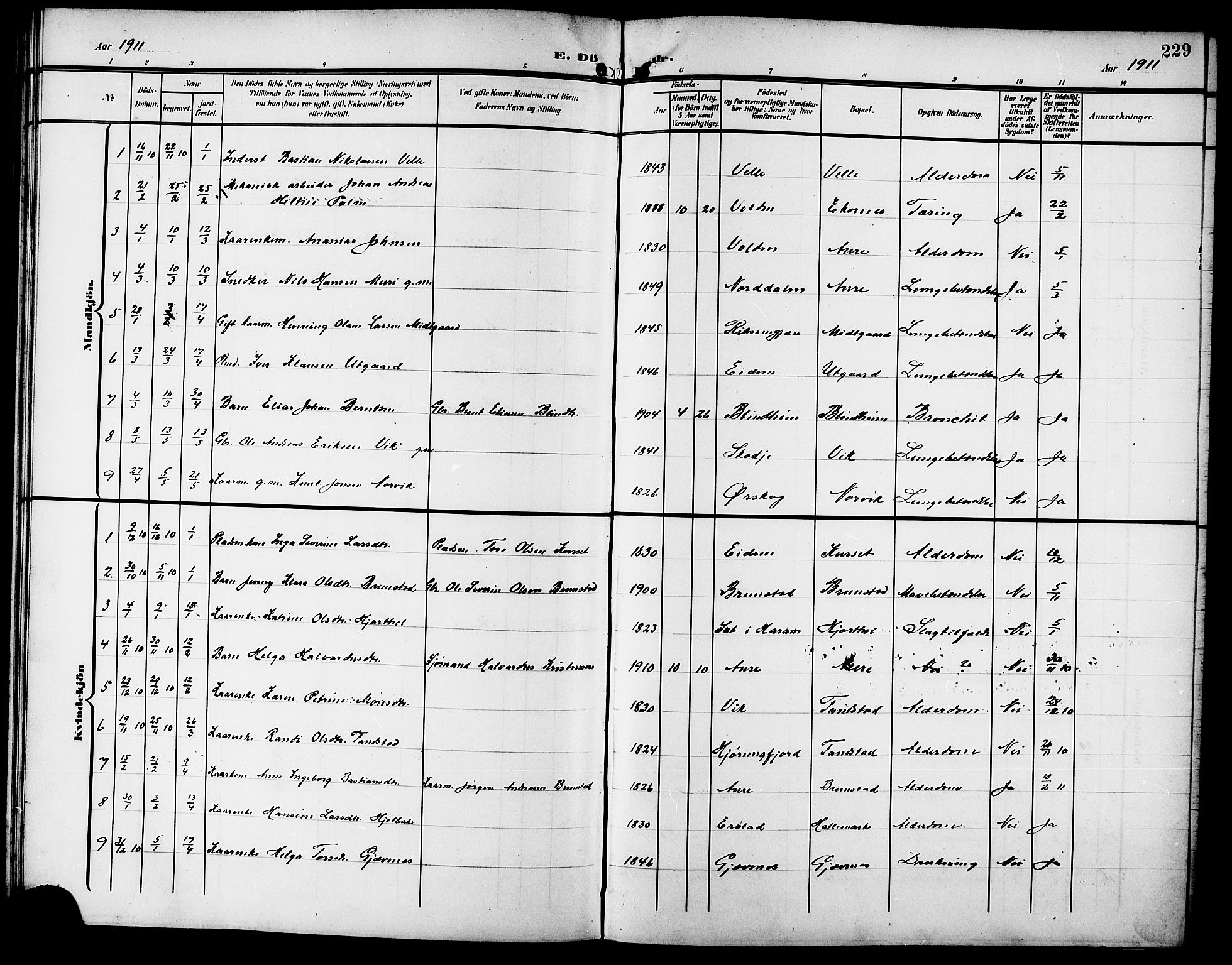Ministerialprotokoller, klokkerbøker og fødselsregistre - Møre og Romsdal, SAT/A-1454/523/L0341: Parish register (copy) no. 523C04, 1903-1916, p. 229