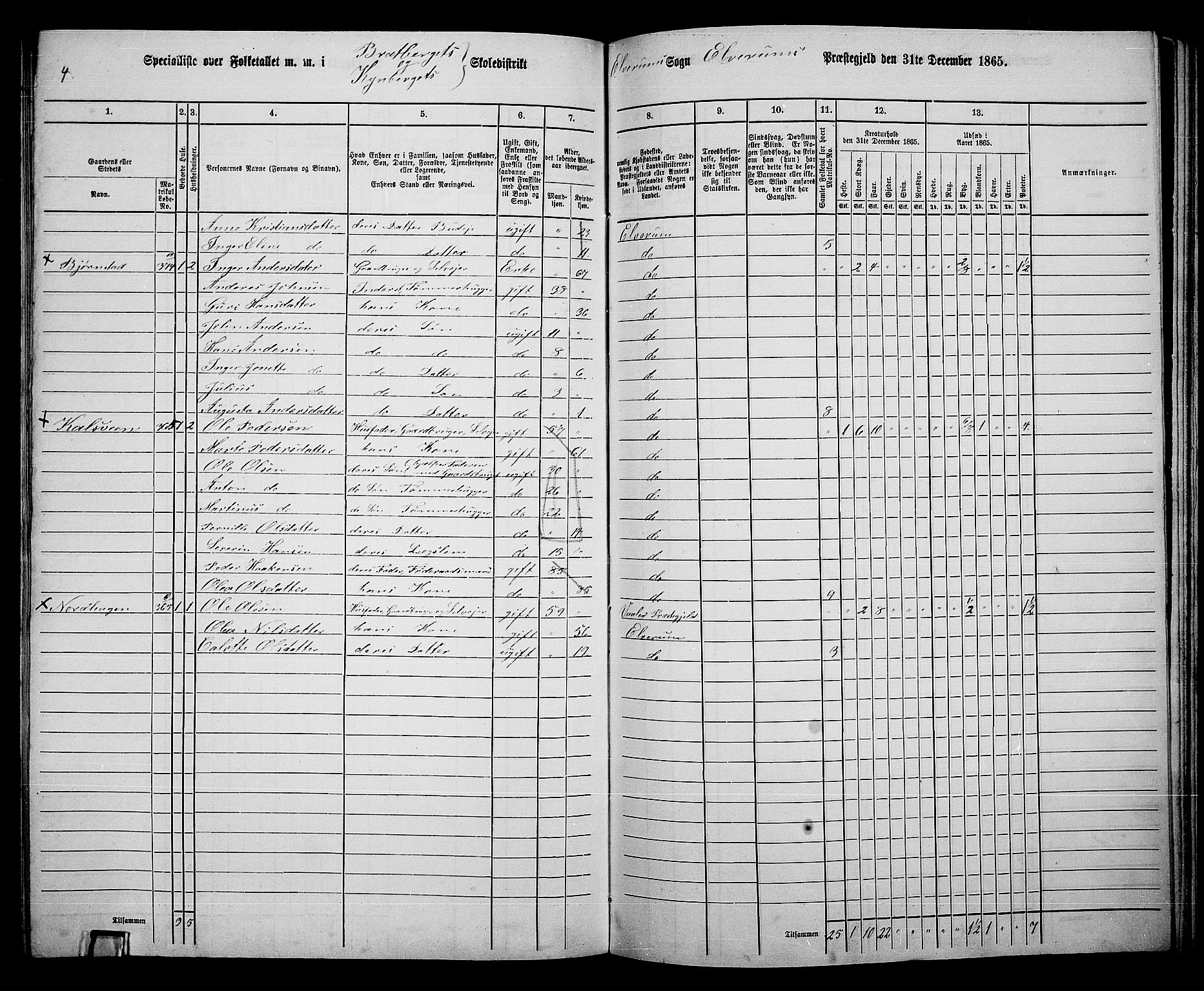 RA, 1865 census for Elverum, 1865, p. 233