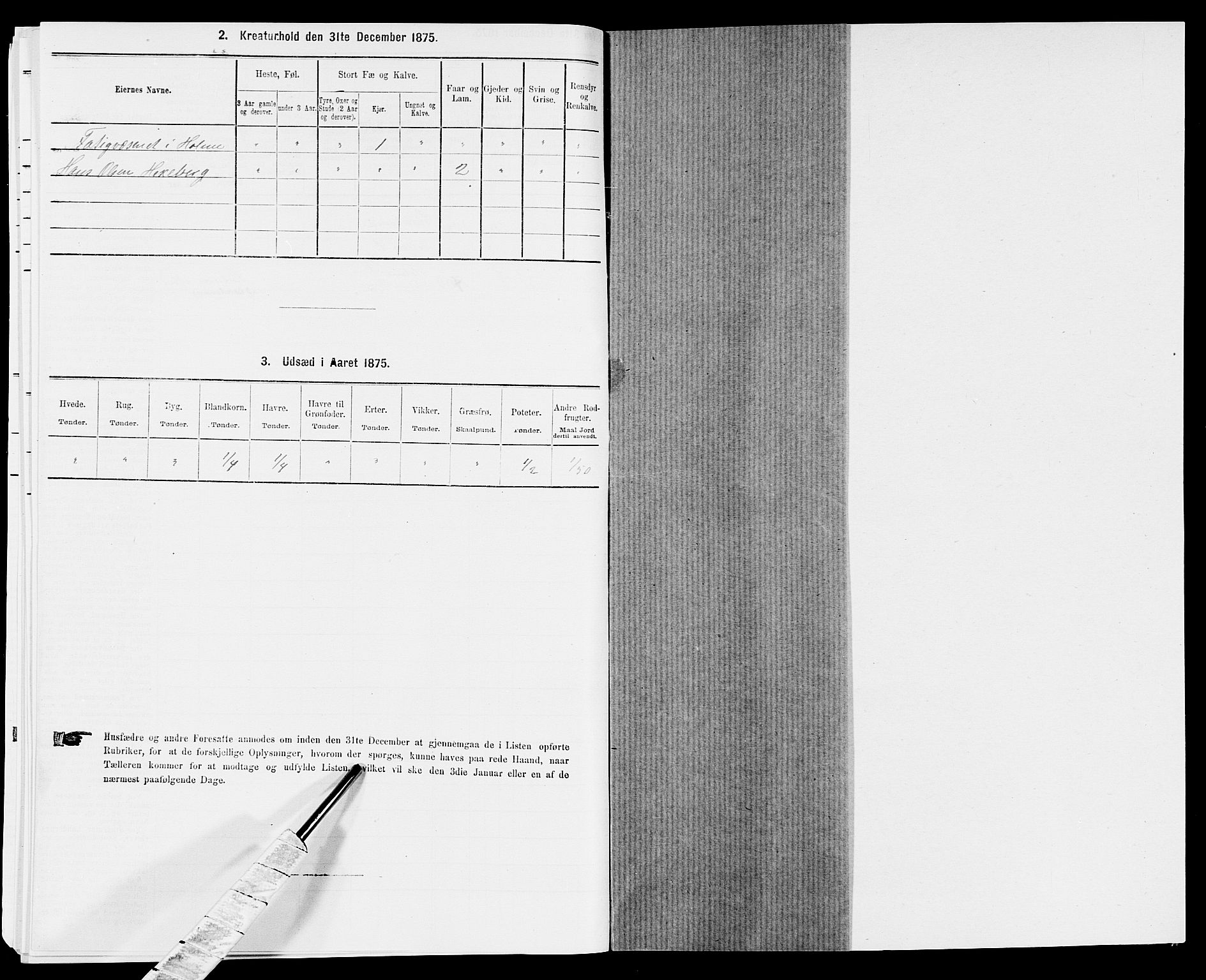 SAK, 1875 census for 1020P Holum, 1875, p. 369