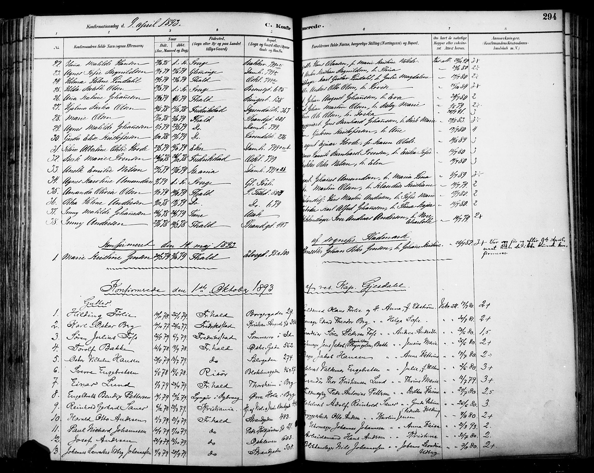 Halden prestekontor Kirkebøker, SAO/A-10909/F/Fa/L0013: Parish register (official) no. I 13, 1890-1906, p. 294