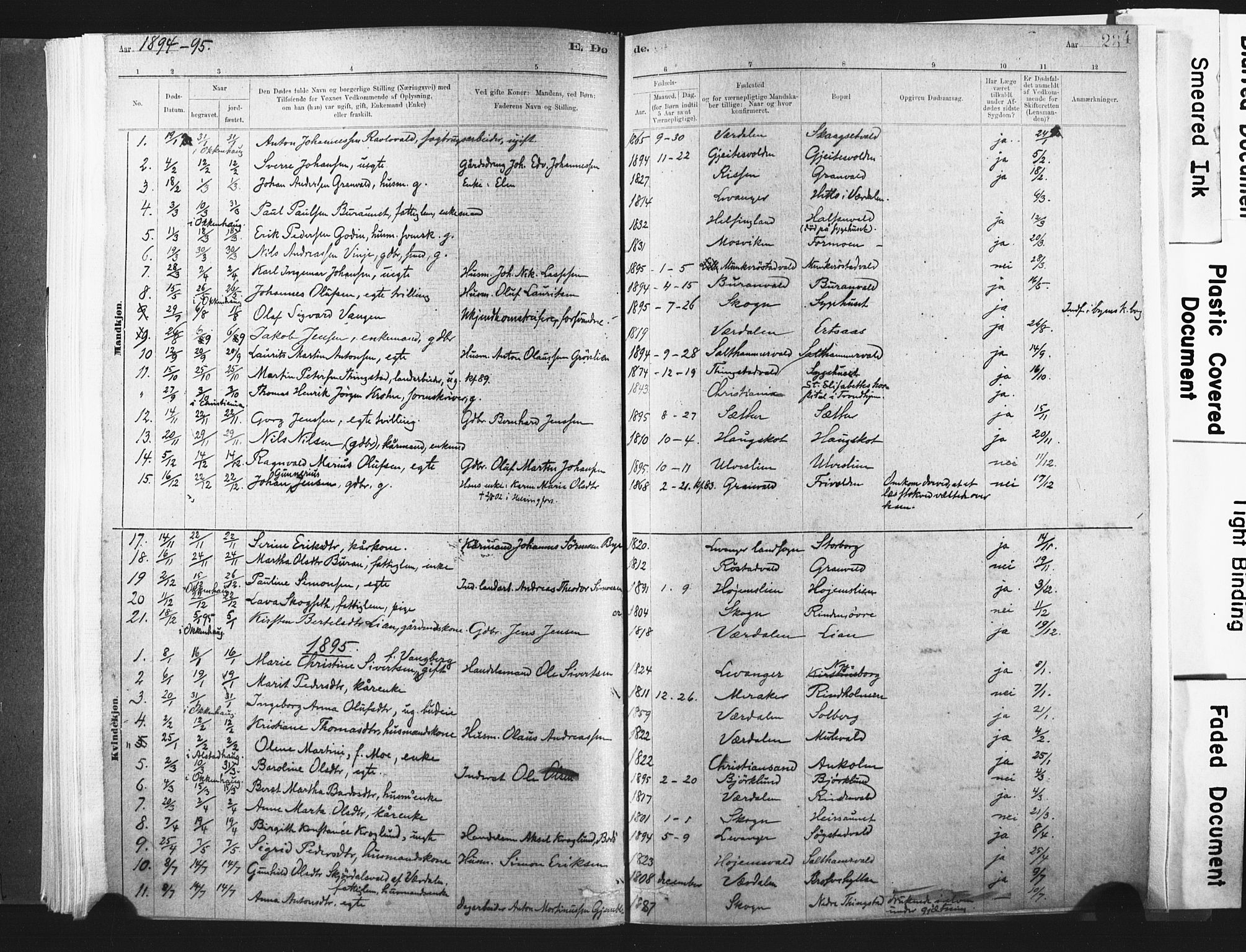 Ministerialprotokoller, klokkerbøker og fødselsregistre - Nord-Trøndelag, SAT/A-1458/721/L0207: Parish register (official) no. 721A02, 1880-1911, p. 234