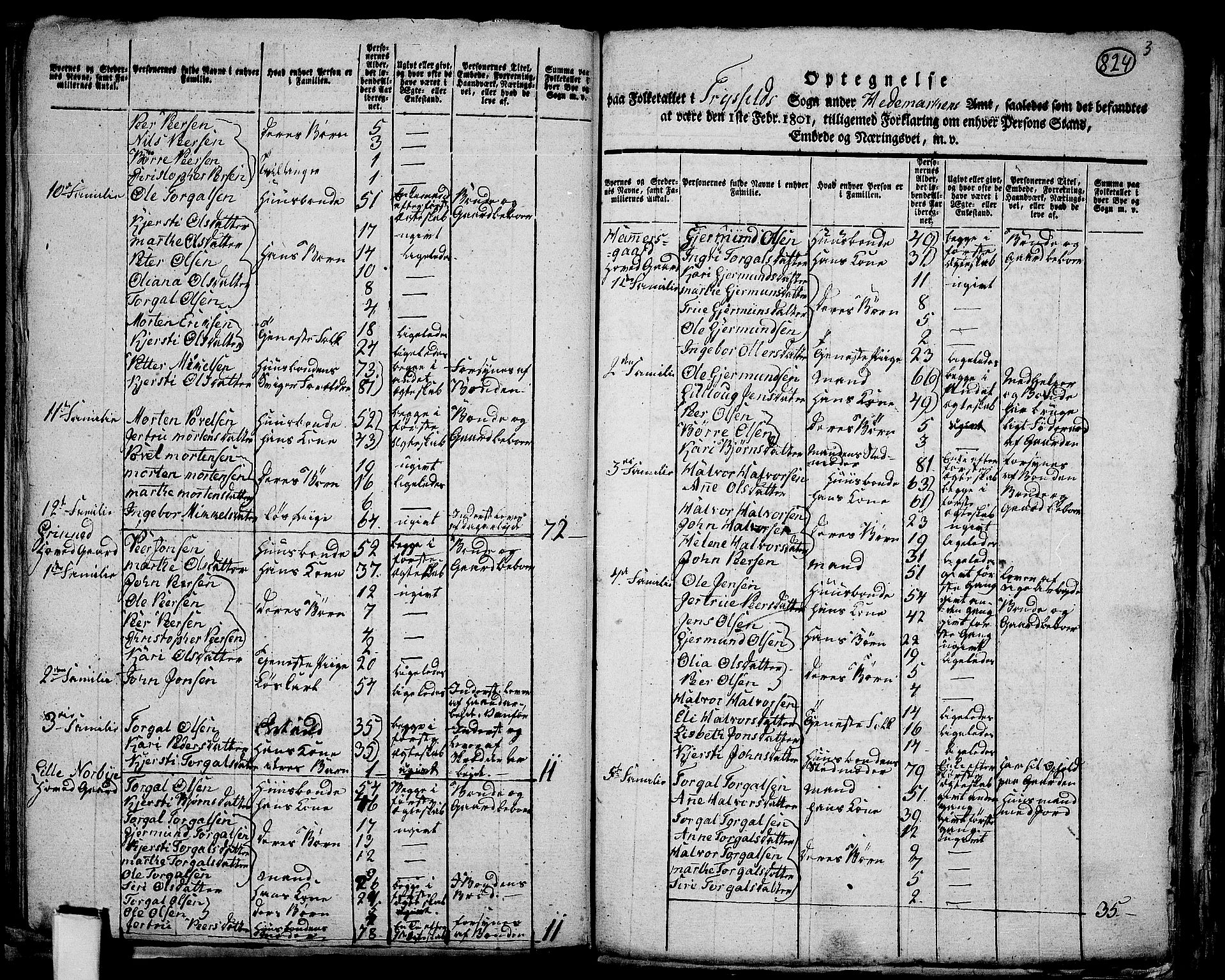 RA, 1801 census for 0428P Trysil, 1801, p. 823b-824a