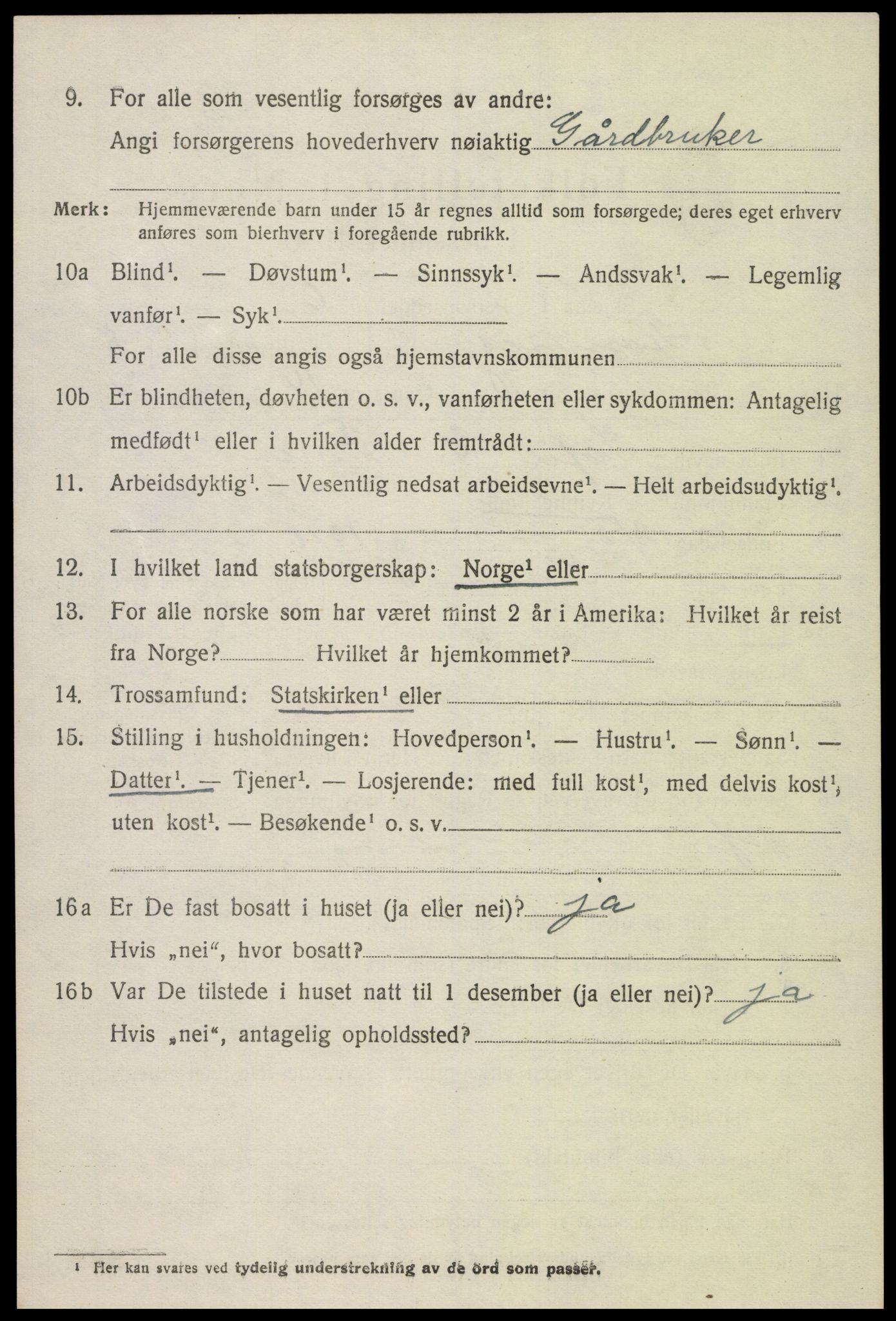 SAK, 1920 census for Hornnes, 1920, p. 1988