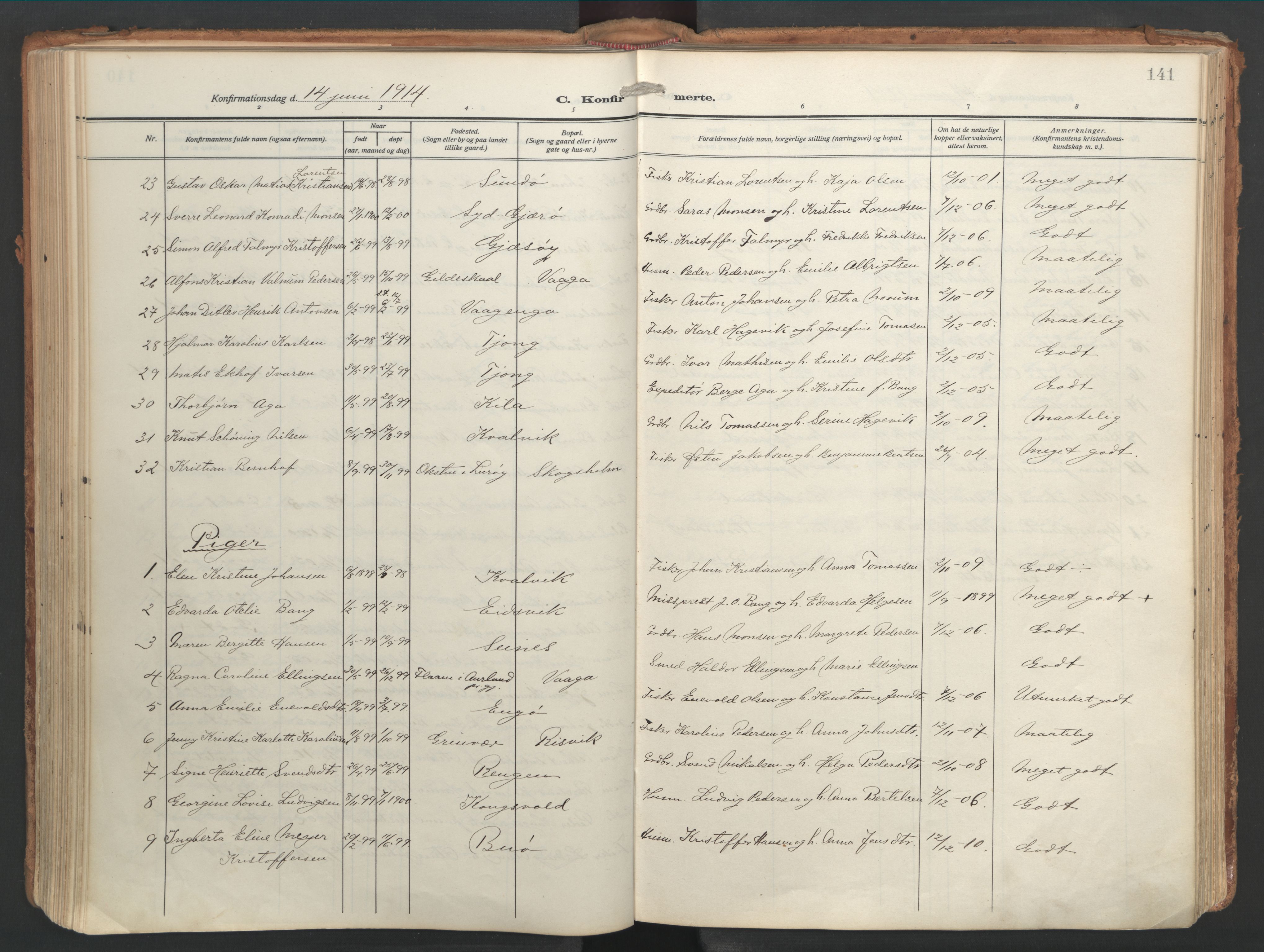 Ministerialprotokoller, klokkerbøker og fødselsregistre - Nordland, AV/SAT-A-1459/841/L0614: Parish register (official) no. 841A17, 1911-1925, p. 141