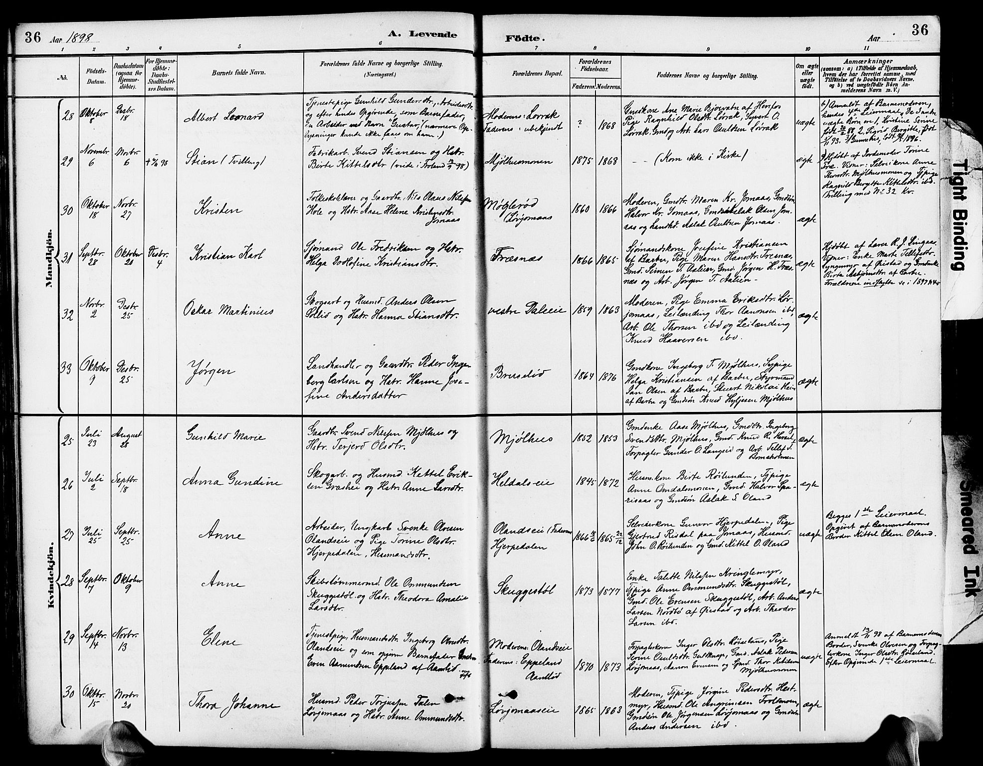 Froland sokneprestkontor, AV/SAK-1111-0013/F/Fb/L0010: Parish register (copy) no. B 10, 1893-1920, p. 36