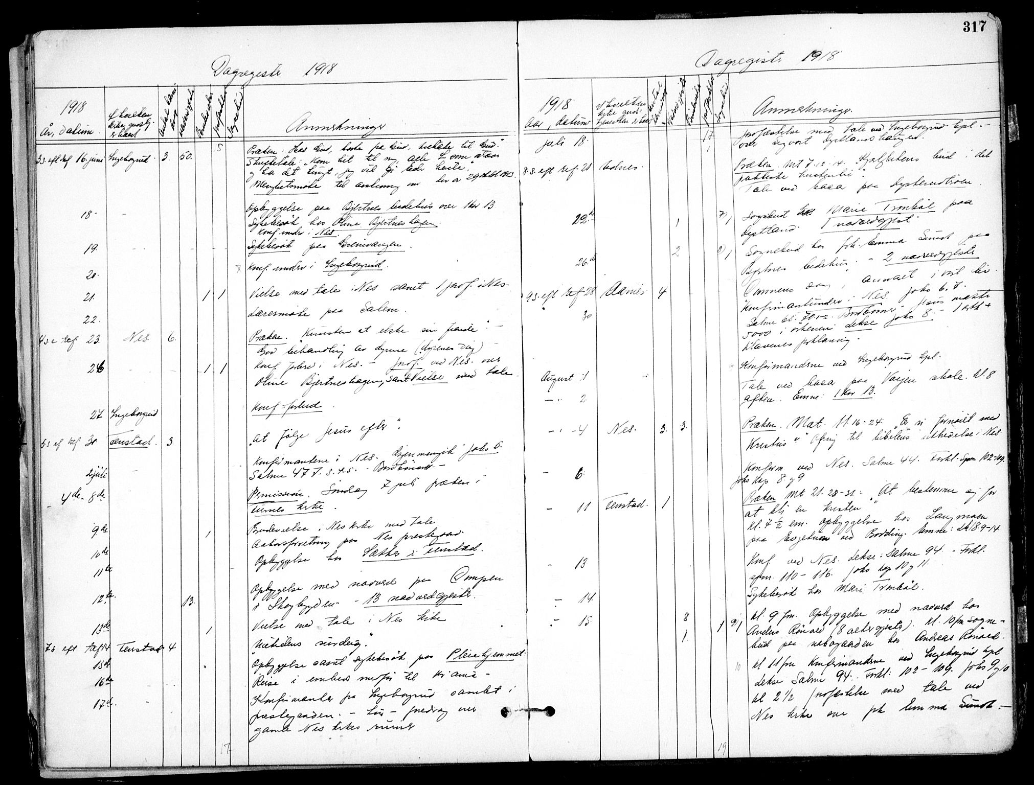 Nes prestekontor Kirkebøker, AV/SAO-A-10410/F/Fb/L0002: Parish register (official) no. II 2, 1883-1918, p. 317
