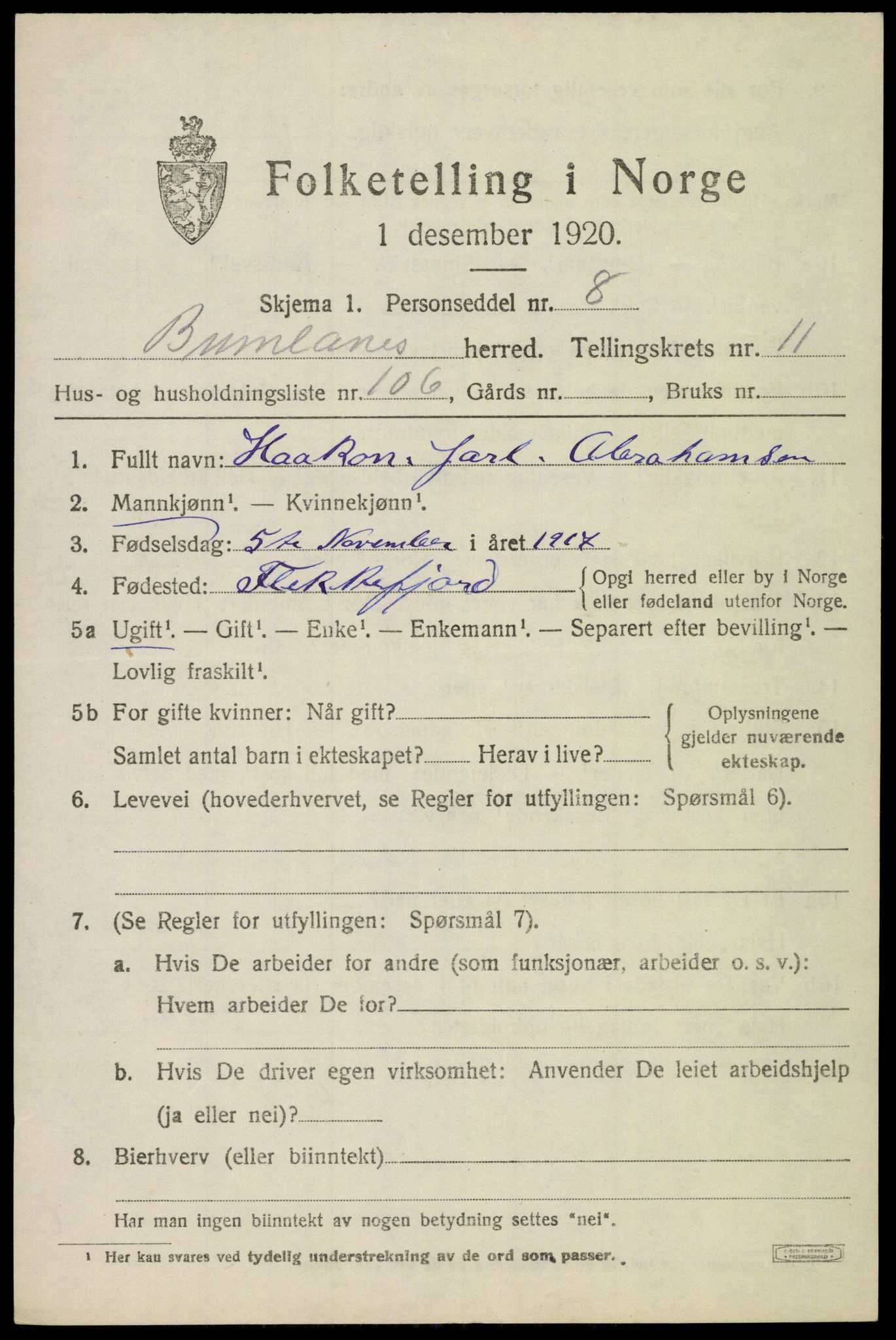 SAKO, 1920 census for Brunlanes, 1920, p. 10499