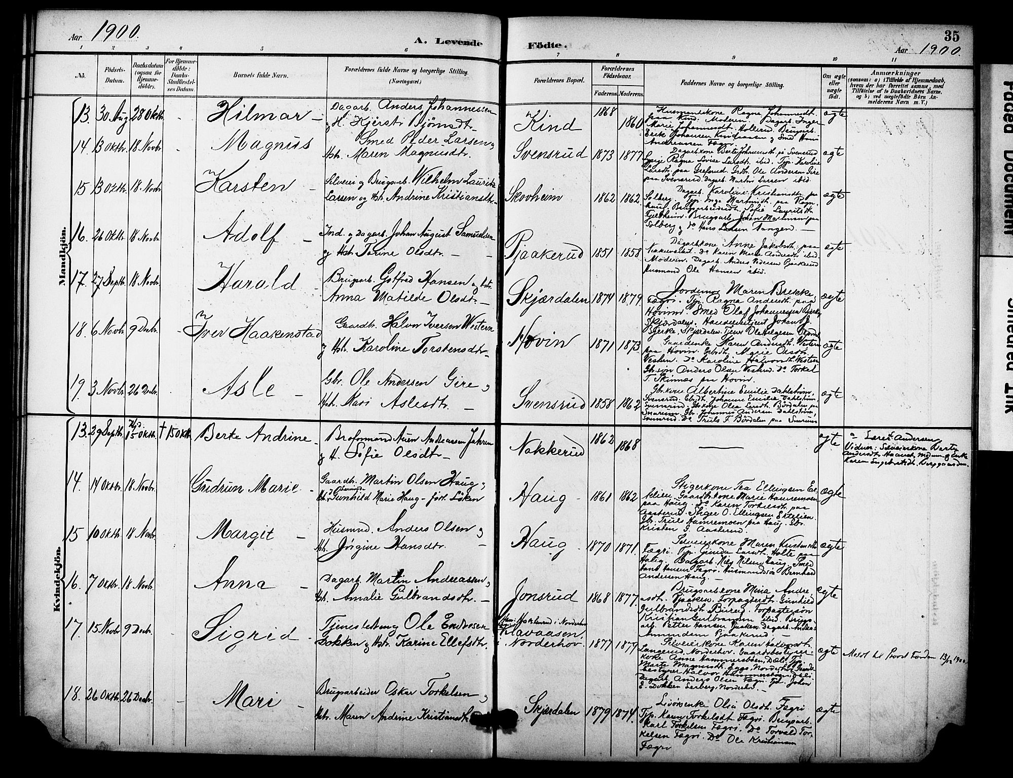 Hole kirkebøker, AV/SAKO-A-228/F/Fb/L0002: Parish register (official) no. II 2, 1892-1906, p. 35