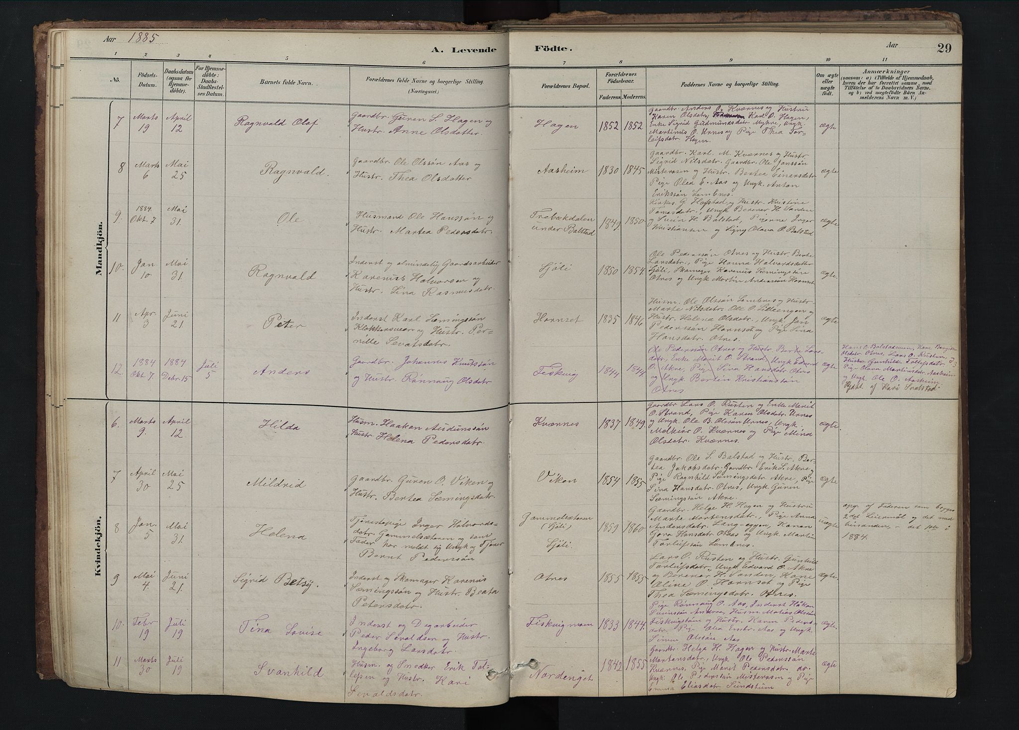 Rendalen prestekontor, AV/SAH-PREST-054/H/Ha/Hab/L0009: Parish register (copy) no. 9, 1879-1902, p. 29