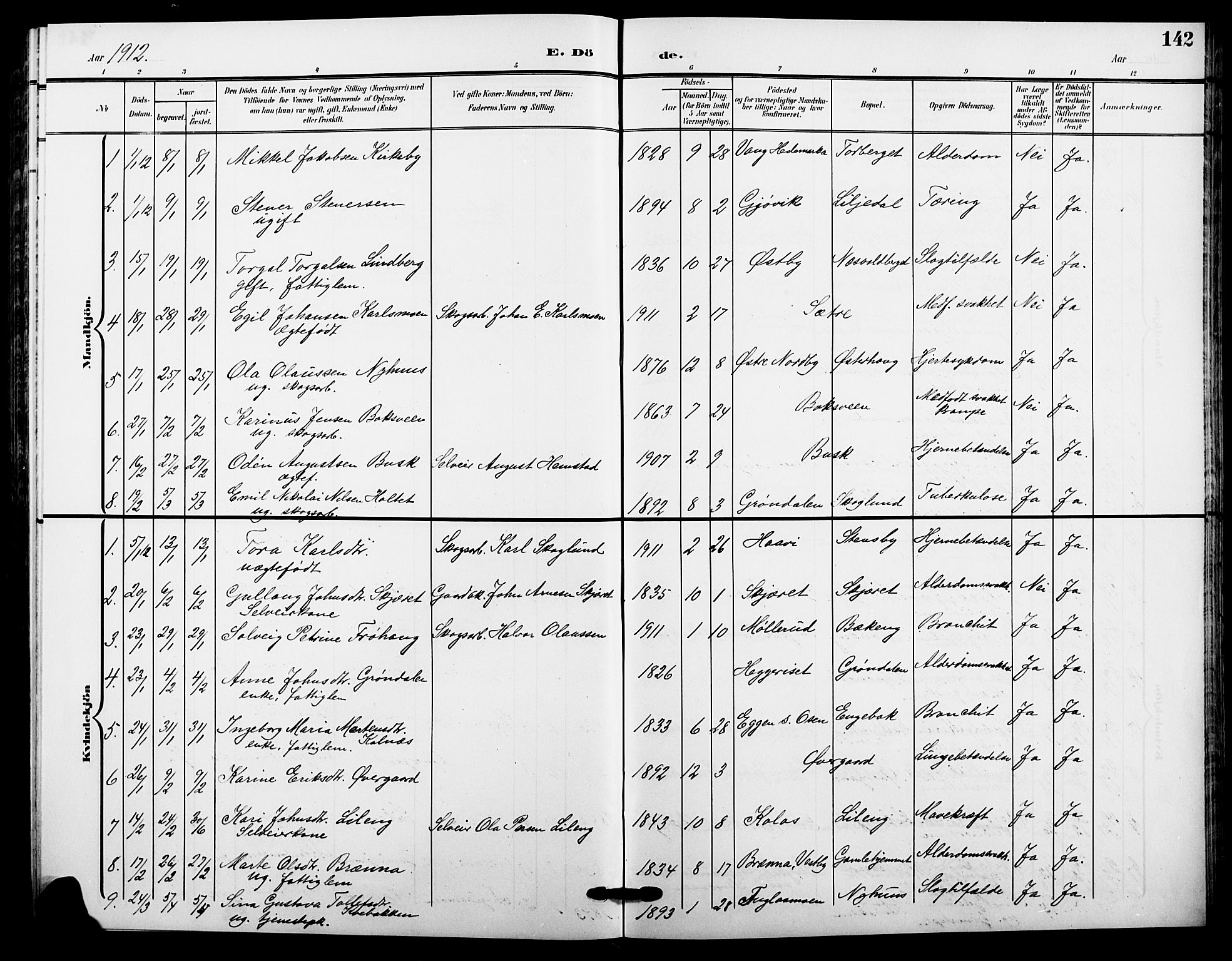 Trysil prestekontor, SAH/PREST-046/H/Ha/Hab/L0009: Parish register (copy) no. 9, 1904-1924, p. 142