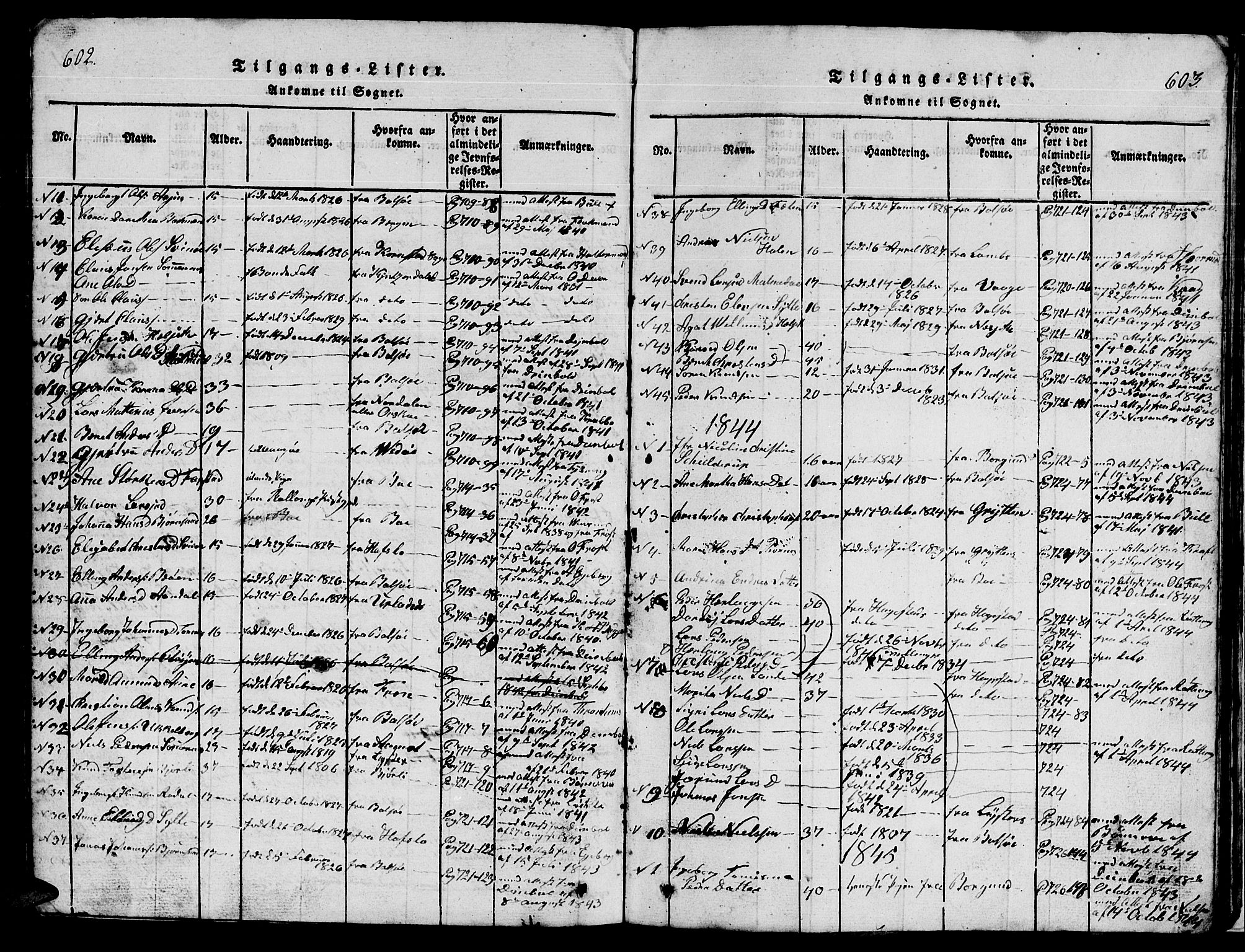 Ministerialprotokoller, klokkerbøker og fødselsregistre - Møre og Romsdal, SAT/A-1454/565/L0752: Parish register (copy) no. 565C01, 1817-1844, p. 602-603