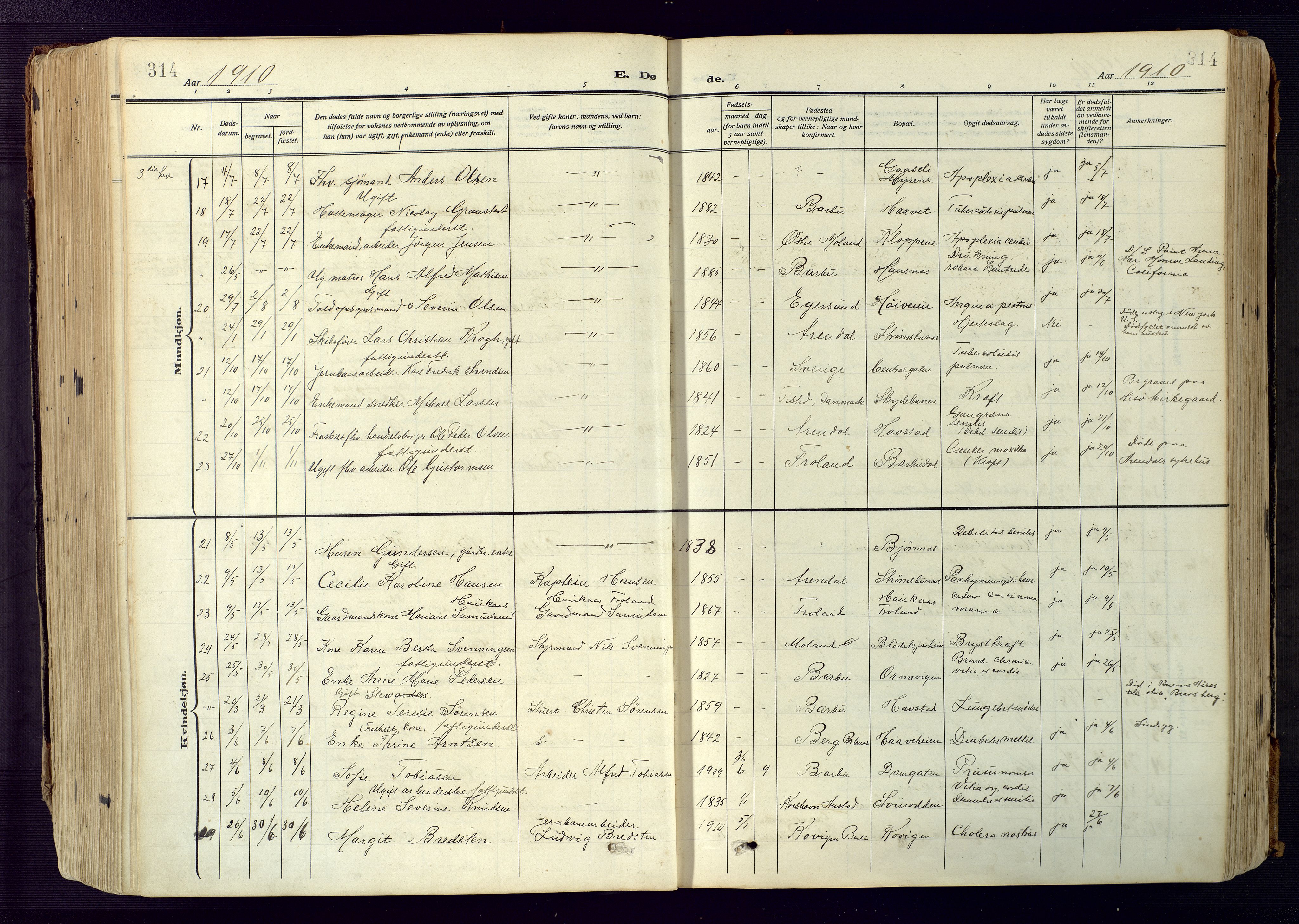 Barbu sokneprestkontor, SAK/1111-0003/F/Fa/L0006: Parish register (official) no. A 6, 1910-1929, p. 314