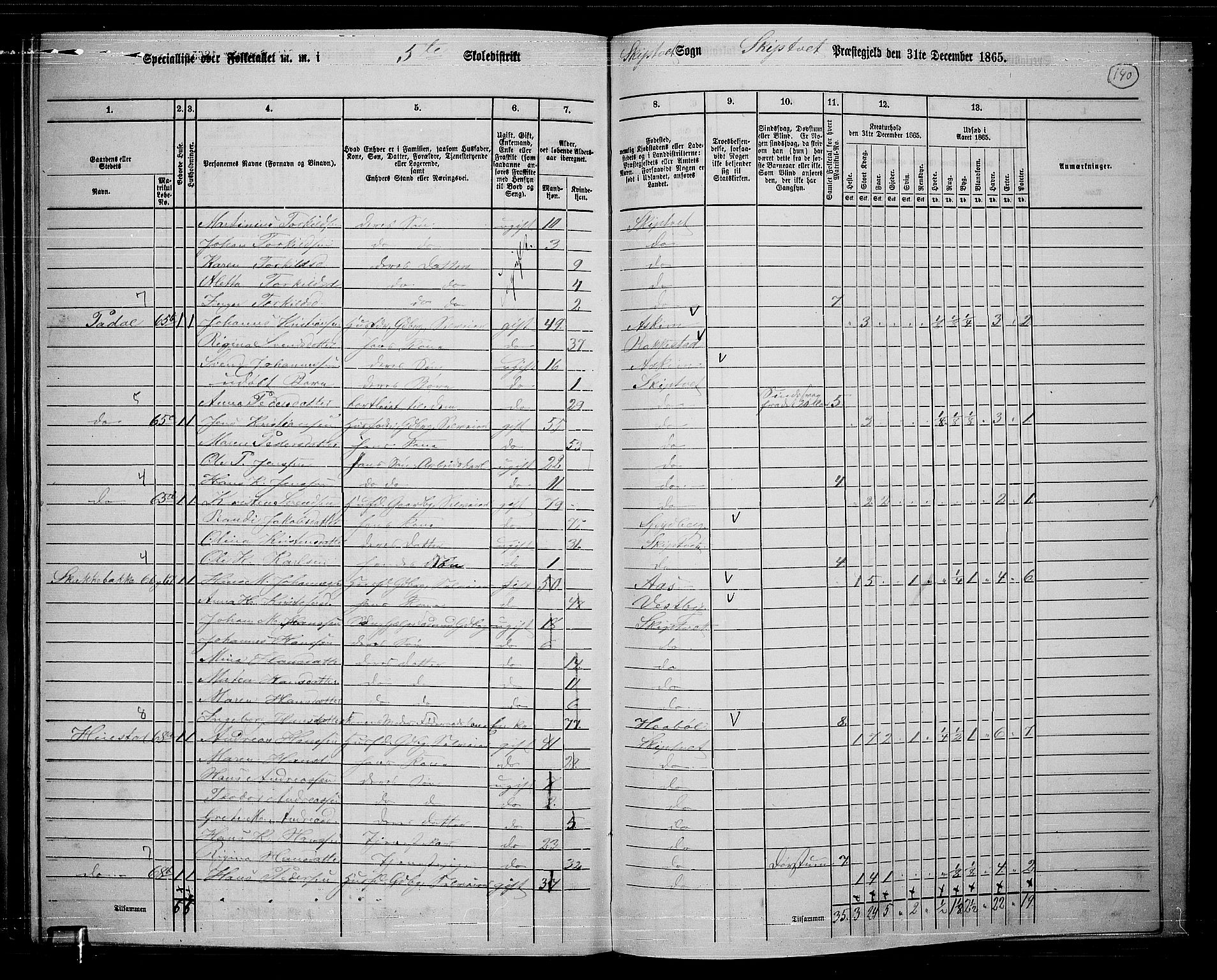 RA, 1865 census for Skiptvet, 1865, p. 123