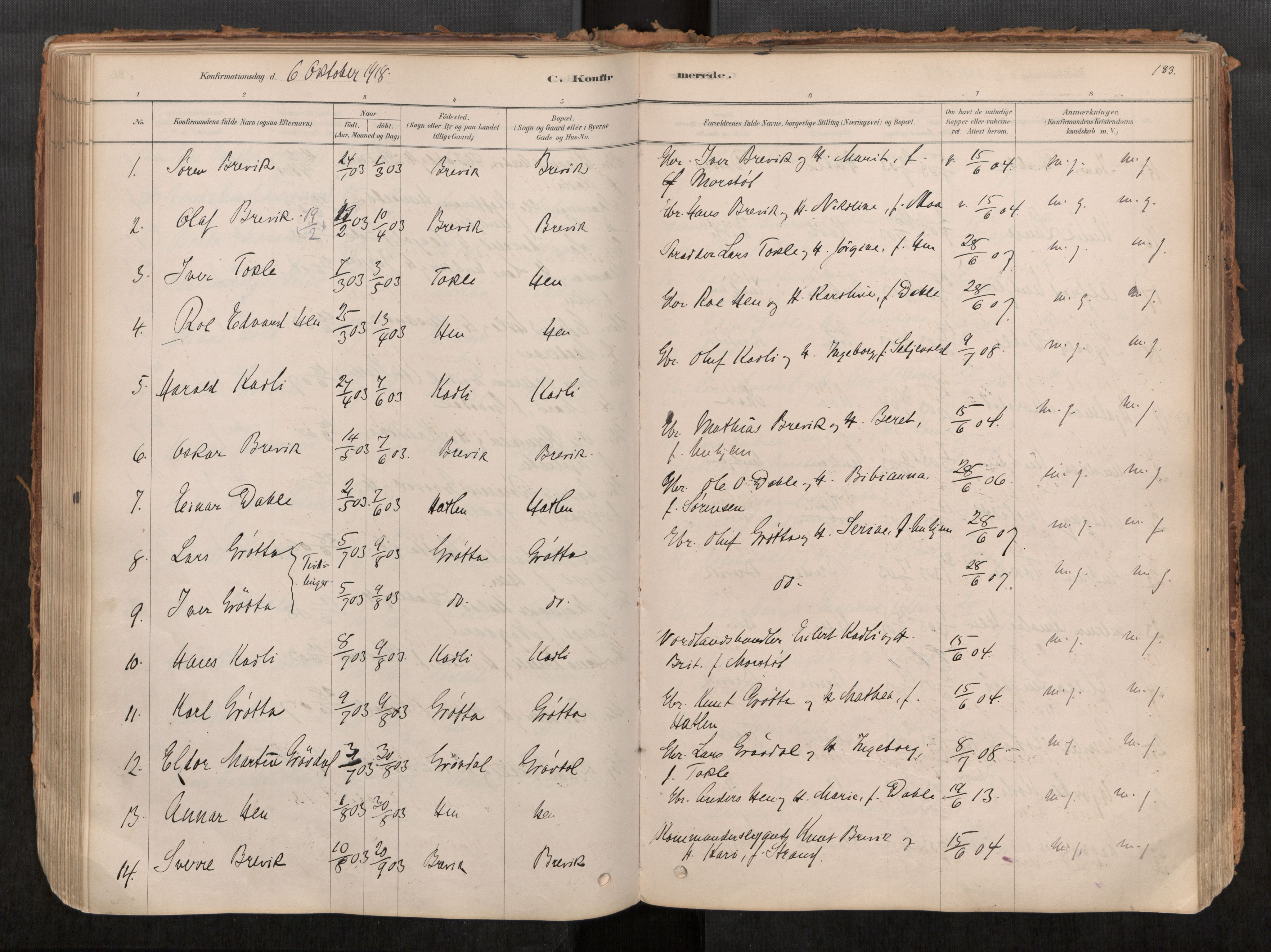 Ministerialprotokoller, klokkerbøker og fødselsregistre - Møre og Romsdal, SAT/A-1454/545/L0594: Parish register (official) no. 545A03, 1878-1920, p. 183