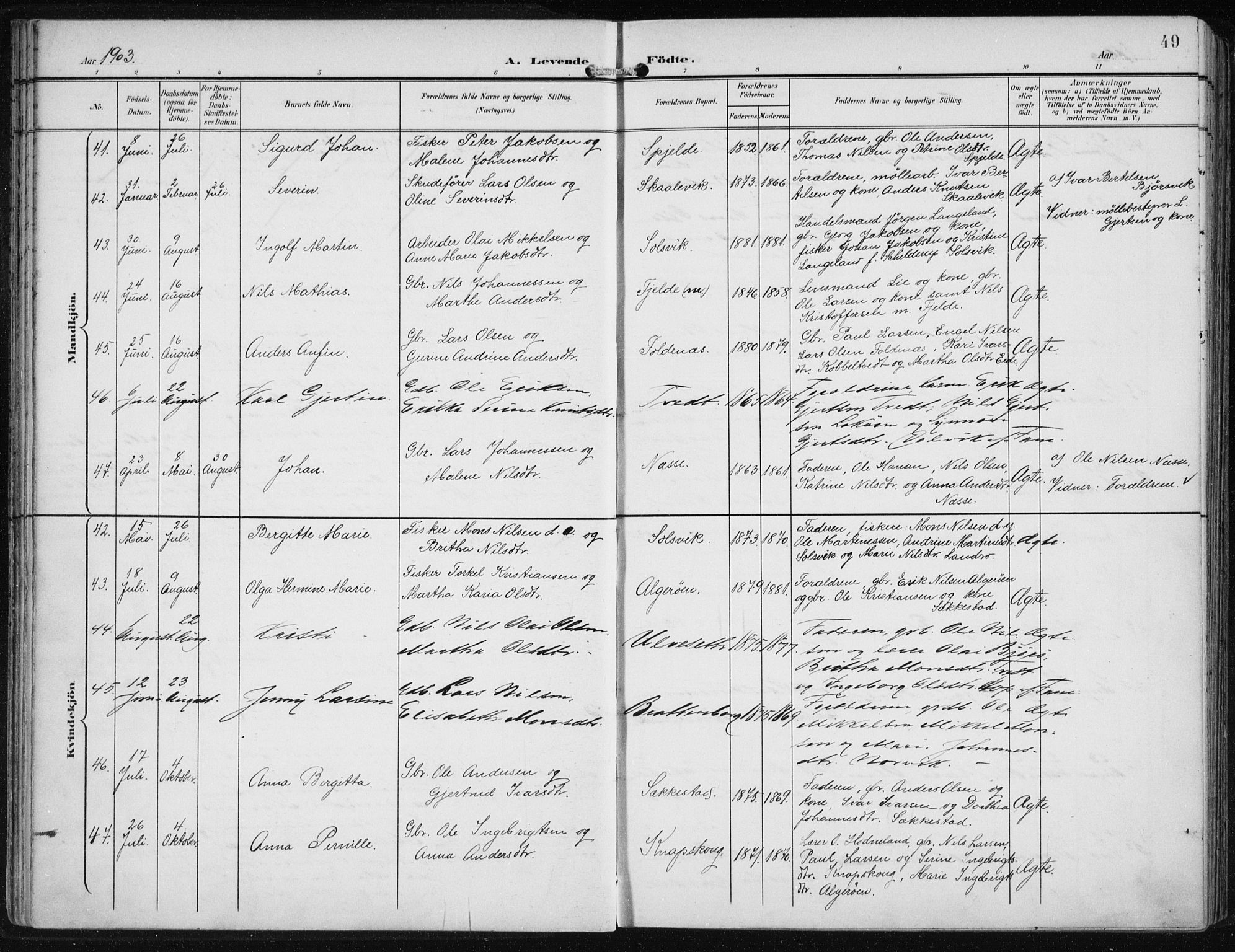 Fjell sokneprestembete, SAB/A-75301/H/Haa: Parish register (official) no. A  9, 1899-1910, p. 49