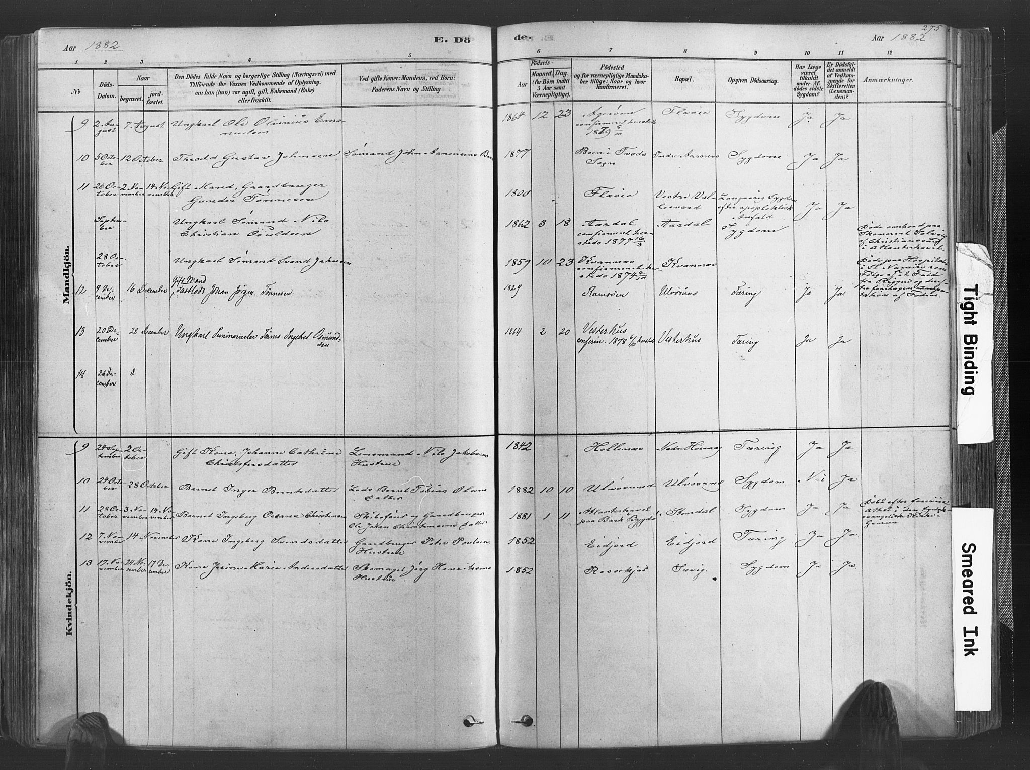 Høvåg sokneprestkontor, AV/SAK-1111-0025/F/Fa/L0005: Parish register (official) no. A 5, 1878-1893, p. 275