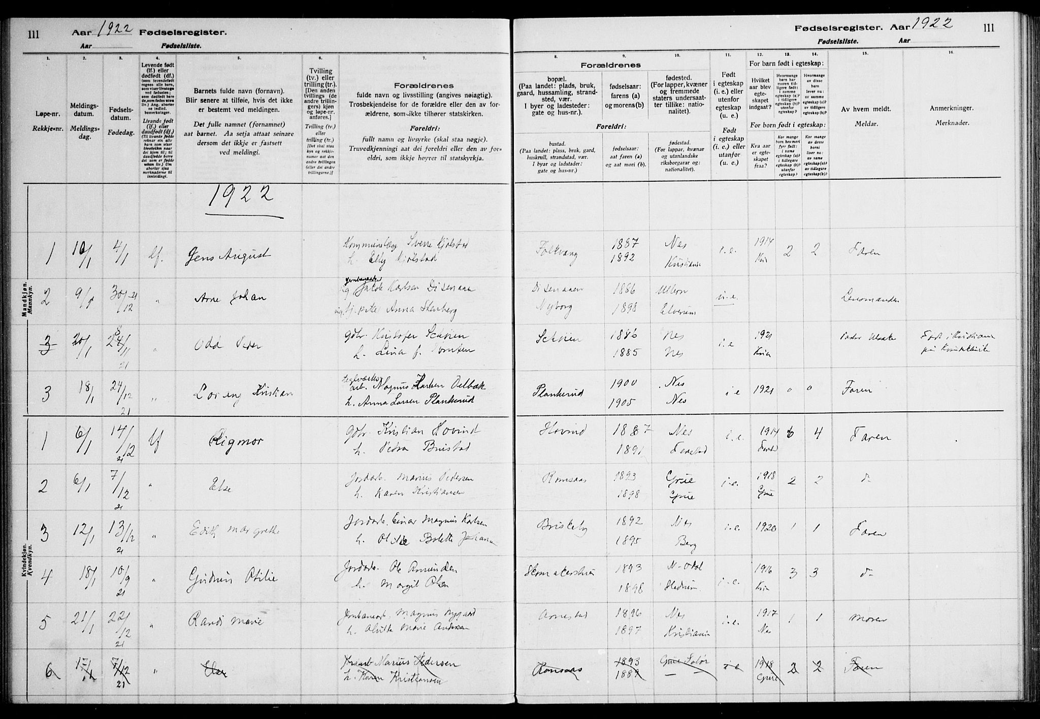 Nes prestekontor Kirkebøker, AV/SAO-A-10410/J/Ja/L0001: Birth register no. 1, 1916-1926, p. 111