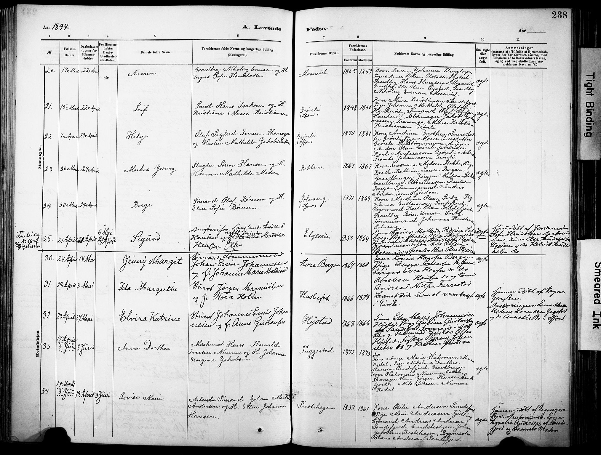 Sandar kirkebøker, SAKO/A-243/F/Fa/L0012: Parish register (official) no. 12, 1883-1895, p. 238
