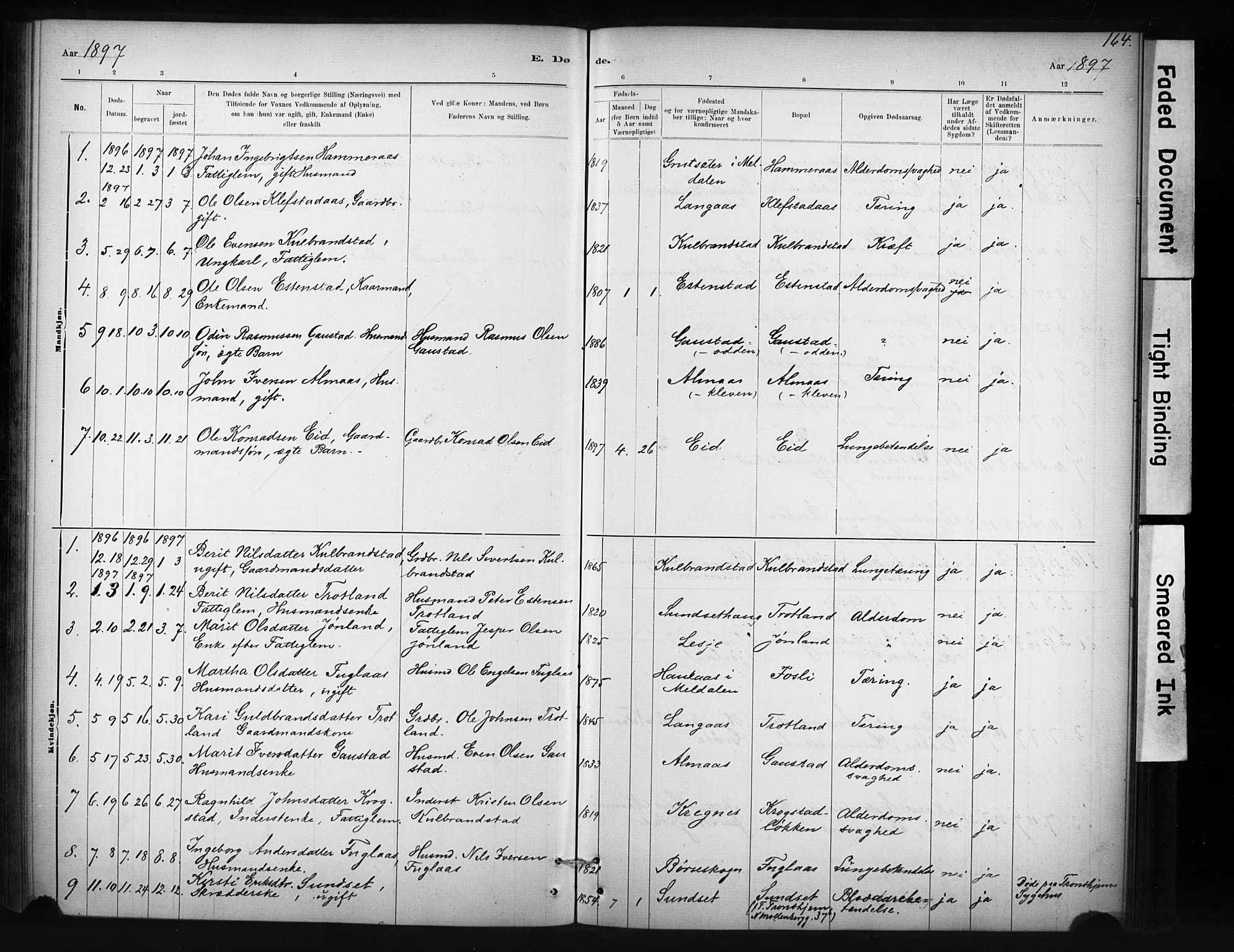 Ministerialprotokoller, klokkerbøker og fødselsregistre - Sør-Trøndelag, AV/SAT-A-1456/694/L1127: Parish register (official) no. 694A01, 1887-1905, p. 164