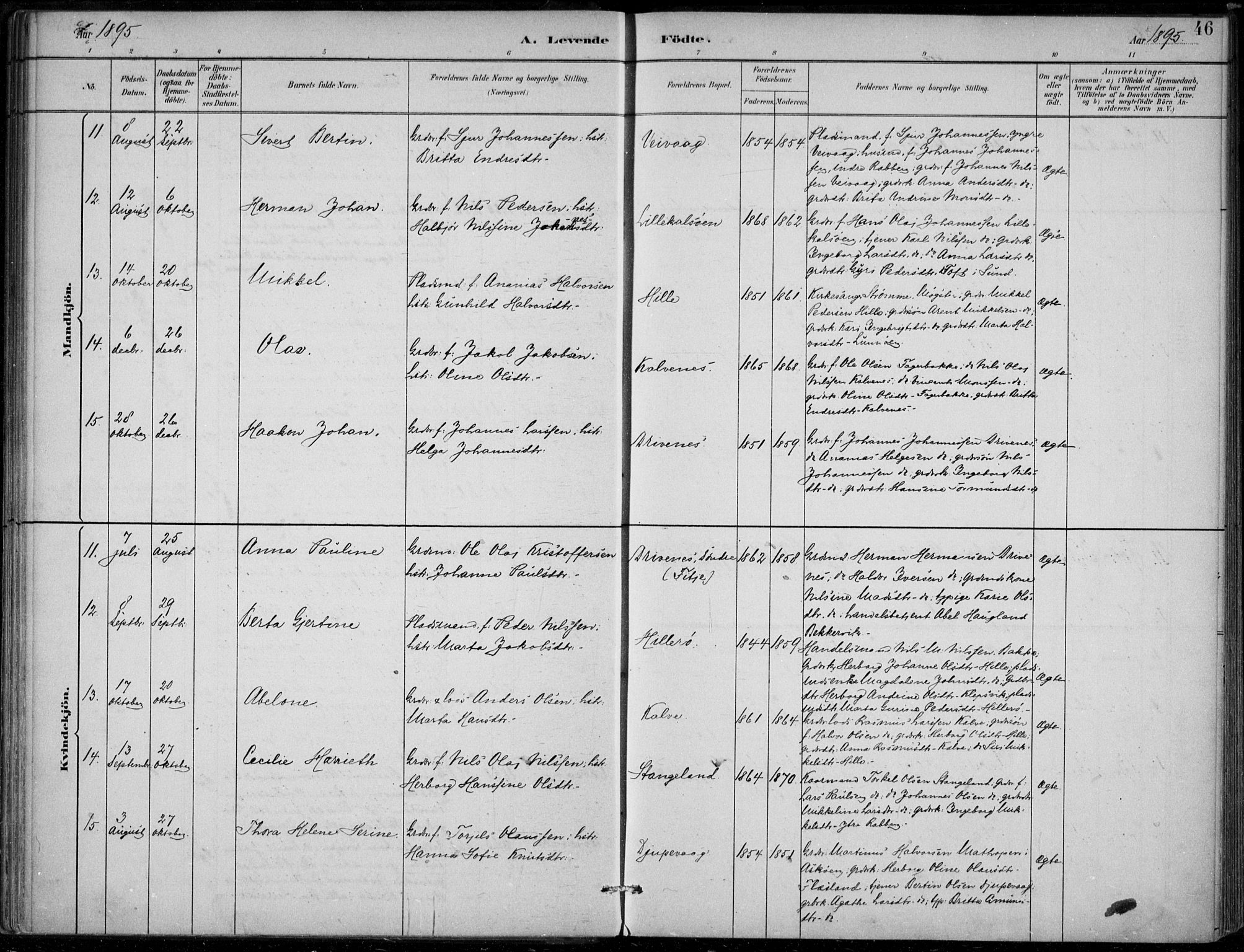 Sund sokneprestembete, AV/SAB-A-99930: Parish register (official) no. D 1, 1882-1899, p. 46