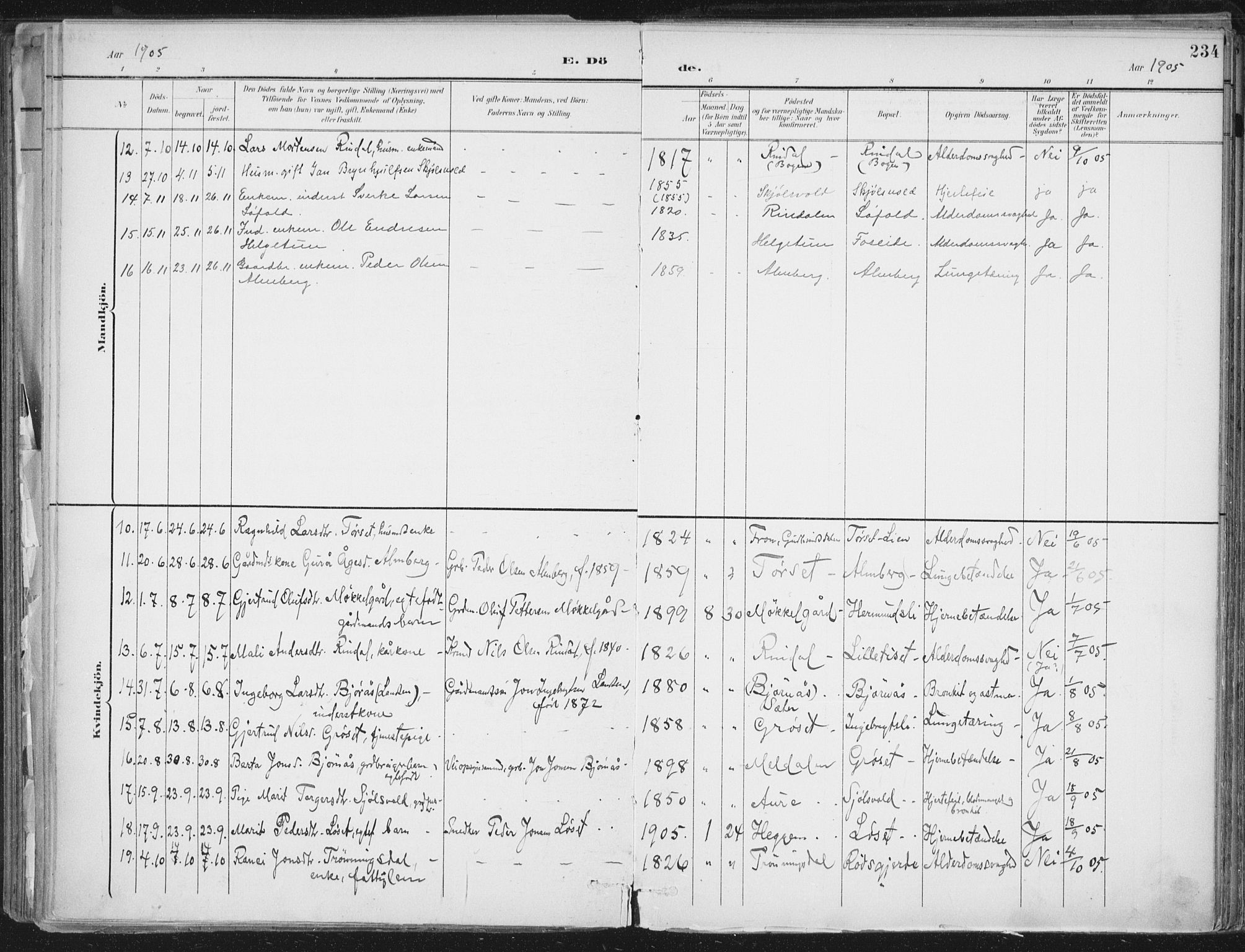 Ministerialprotokoller, klokkerbøker og fødselsregistre - Møre og Romsdal, AV/SAT-A-1454/598/L1072: Parish register (official) no. 598A06, 1896-1910, p. 234