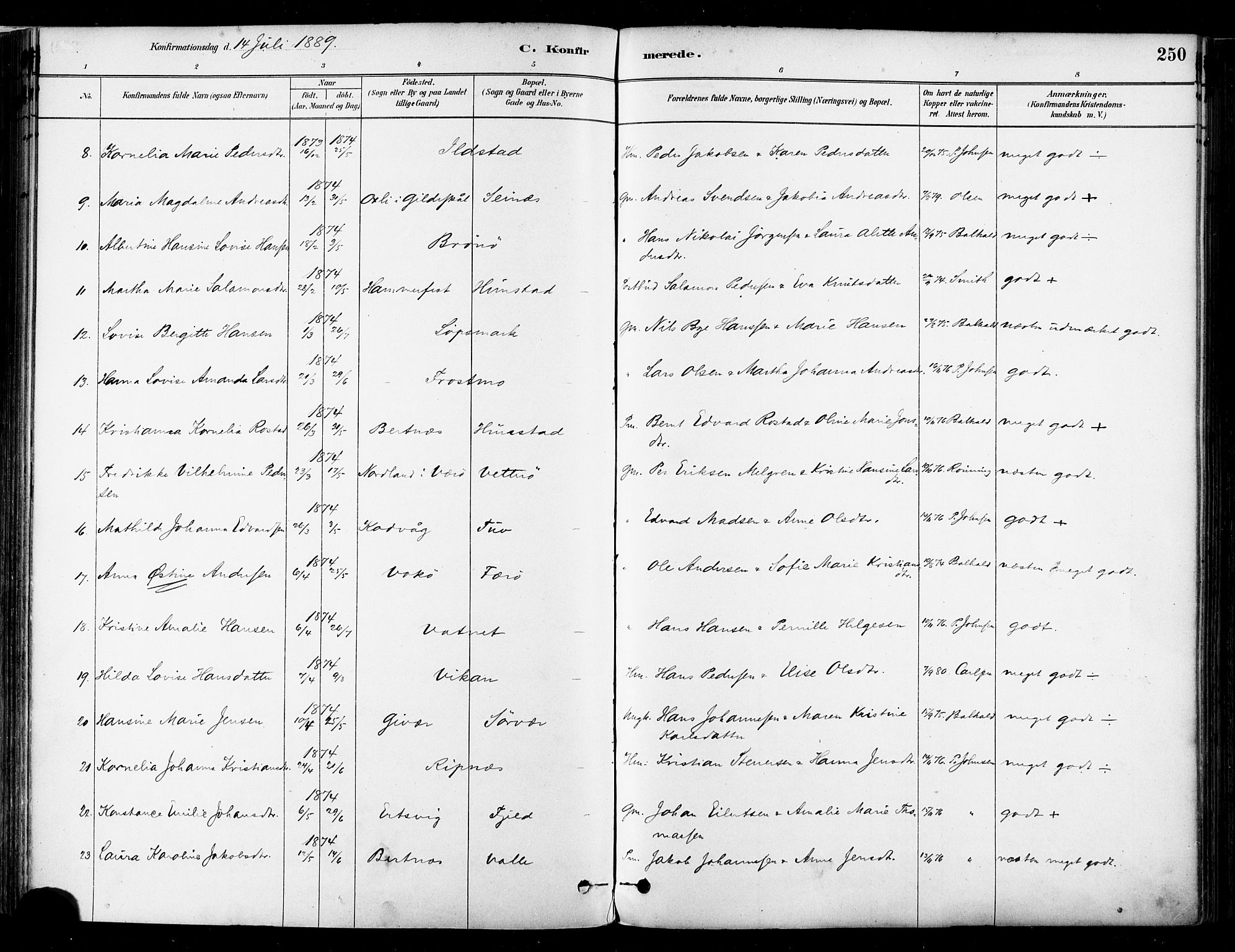 Ministerialprotokoller, klokkerbøker og fødselsregistre - Nordland, AV/SAT-A-1459/802/L0054: Parish register (official) no. 802A01, 1879-1893, p. 250