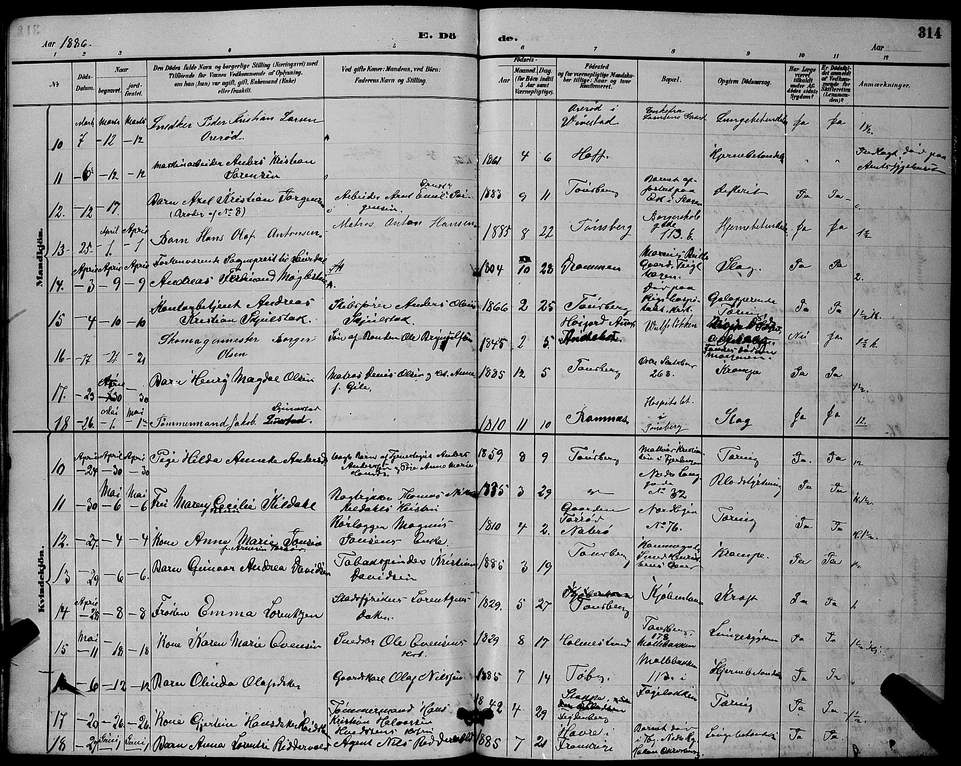 Tønsberg kirkebøker, AV/SAKO-A-330/G/Ga/L0006: Parish register (copy) no. 6, 1885-1895, p. 314