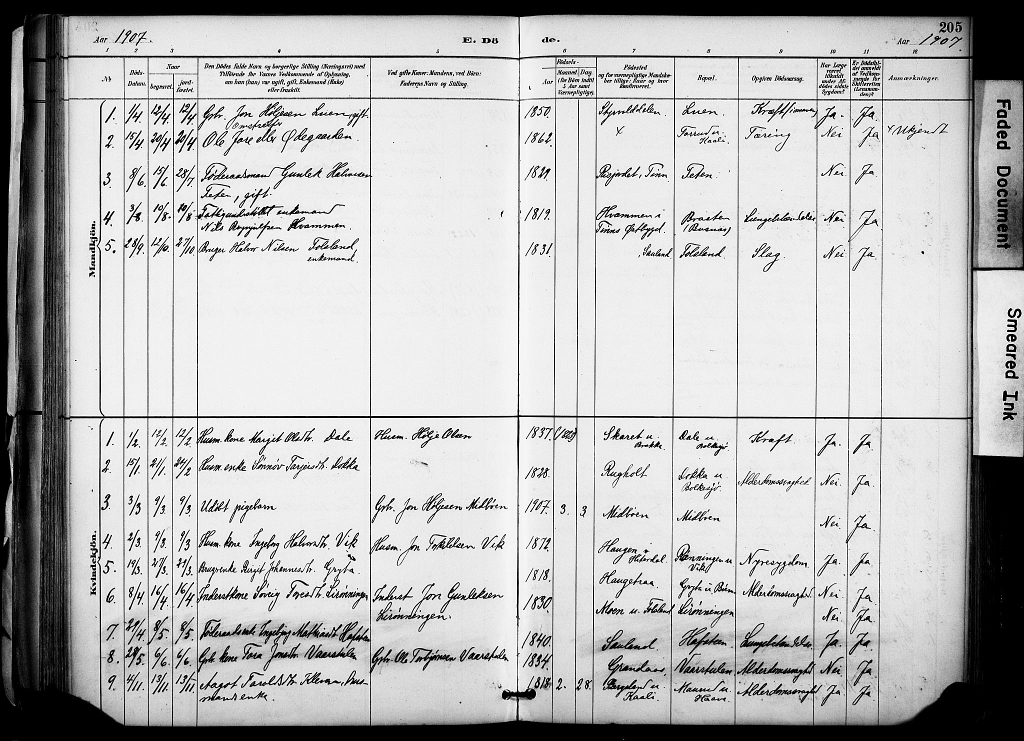Gransherad kirkebøker, SAKO/A-267/F/Fa/L0005: Parish register (official) no. I 5, 1887-1916, p. 205