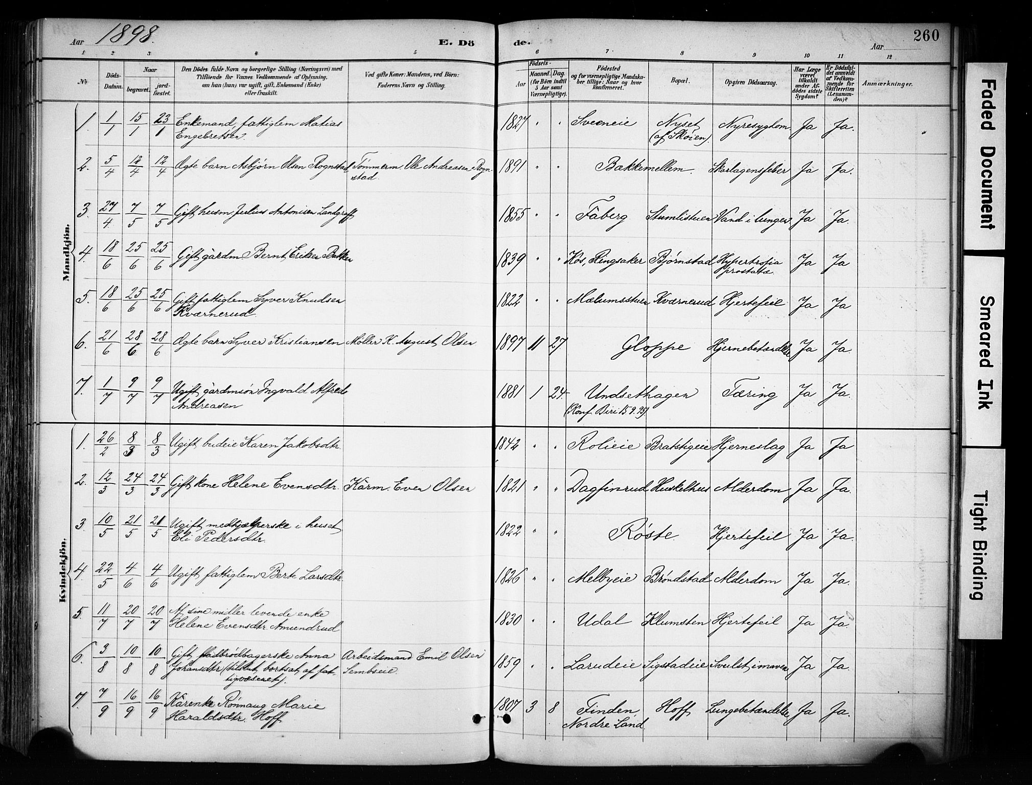 Biri prestekontor, SAH/PREST-096/H/Ha/Haa/L0009: Parish register (official) no. 9, 1887-1900, p. 260