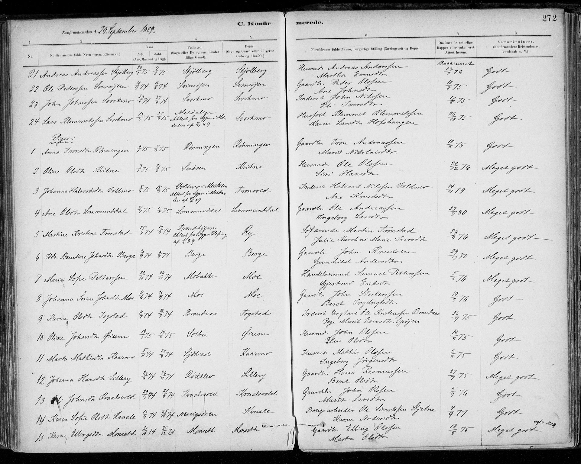 Ministerialprotokoller, klokkerbøker og fødselsregistre - Sør-Trøndelag, AV/SAT-A-1456/668/L0809: Parish register (official) no. 668A09, 1881-1895, p. 272