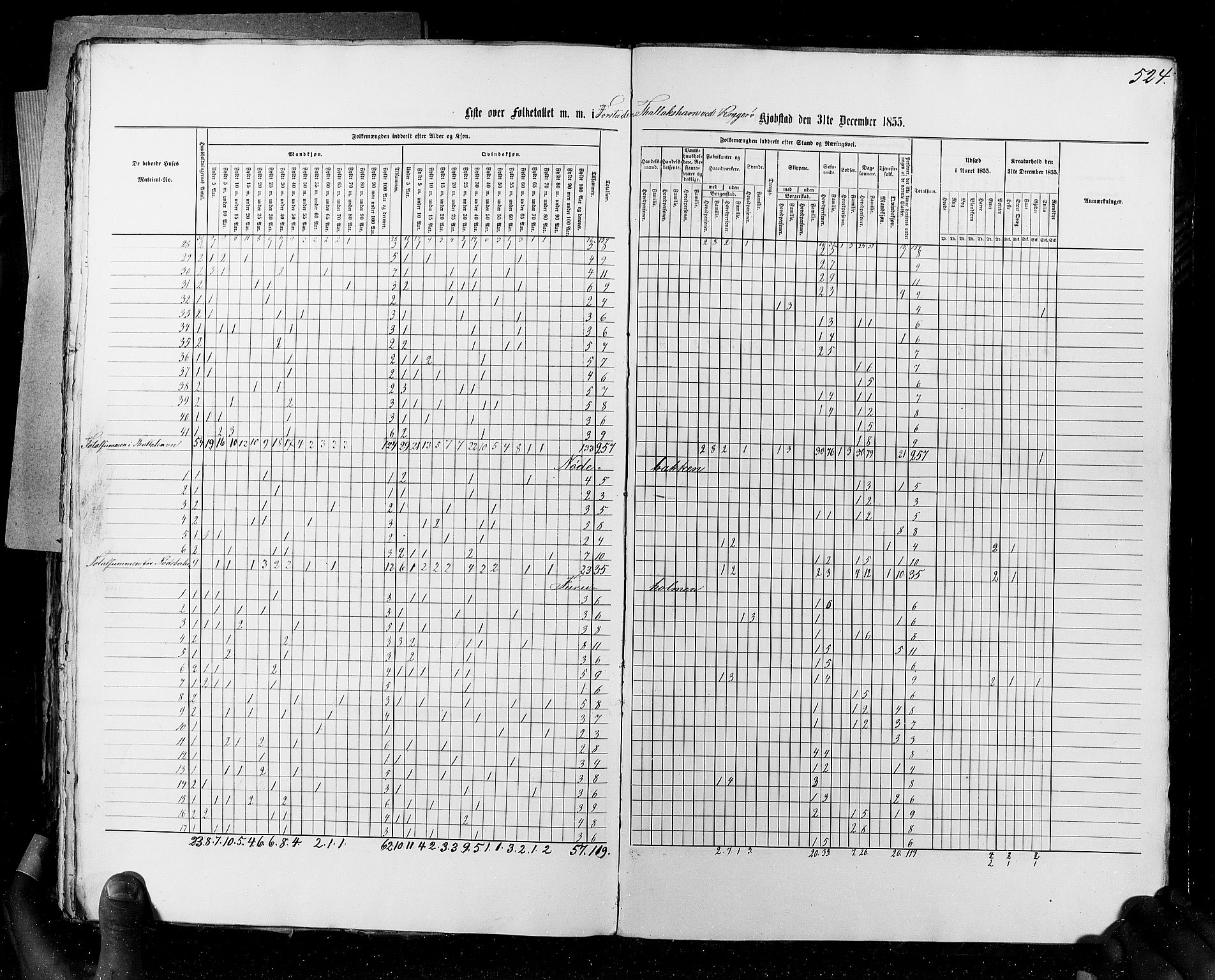 RA, Census 1855, vol. 7: Fredrikshald-Kragerø, 1855, p. 524