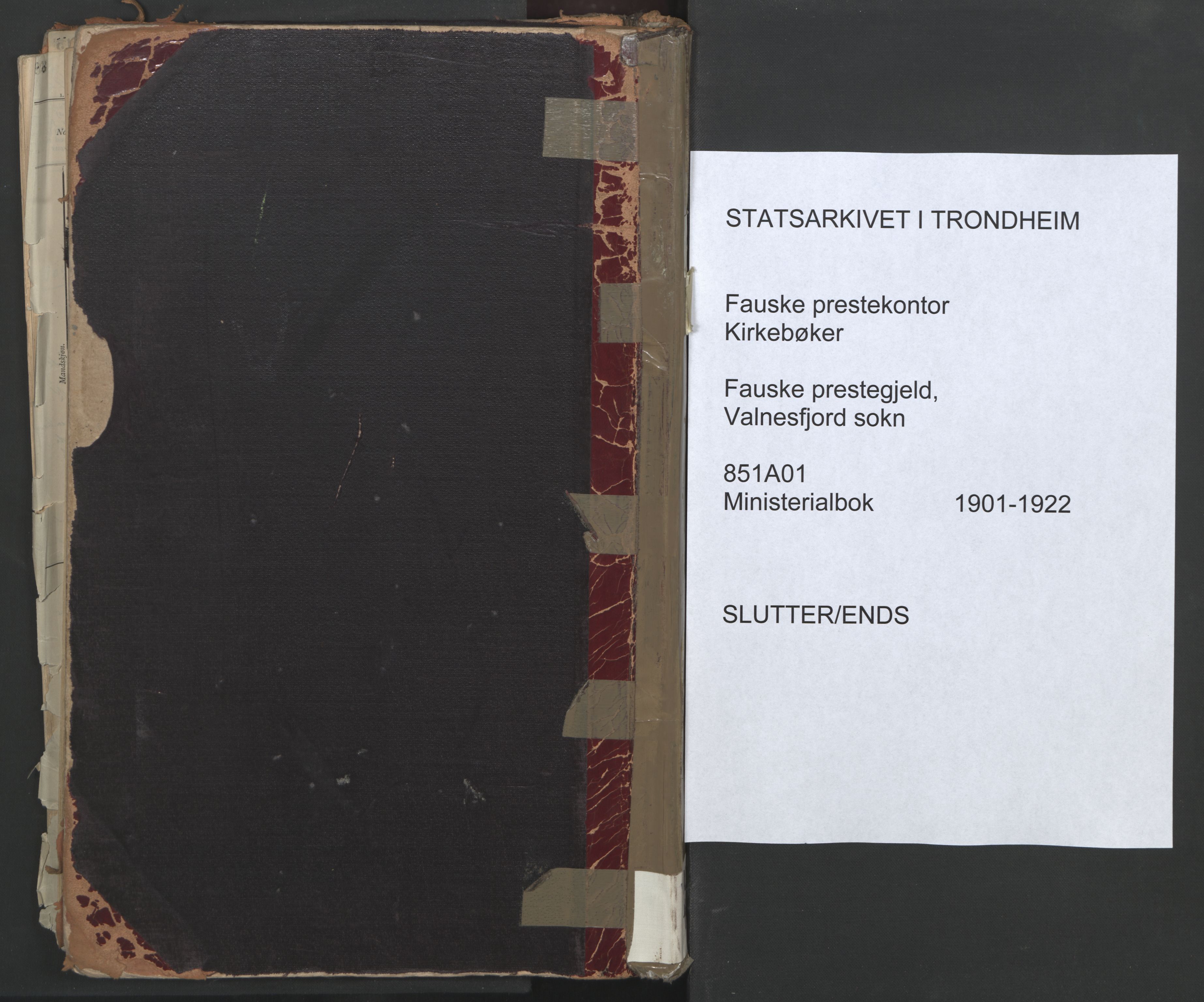 Ministerialprotokoller, klokkerbøker og fødselsregistre - Nordland, AV/SAT-A-1459/851/L0724: Parish register (official) no. 851A01, 1901-1922