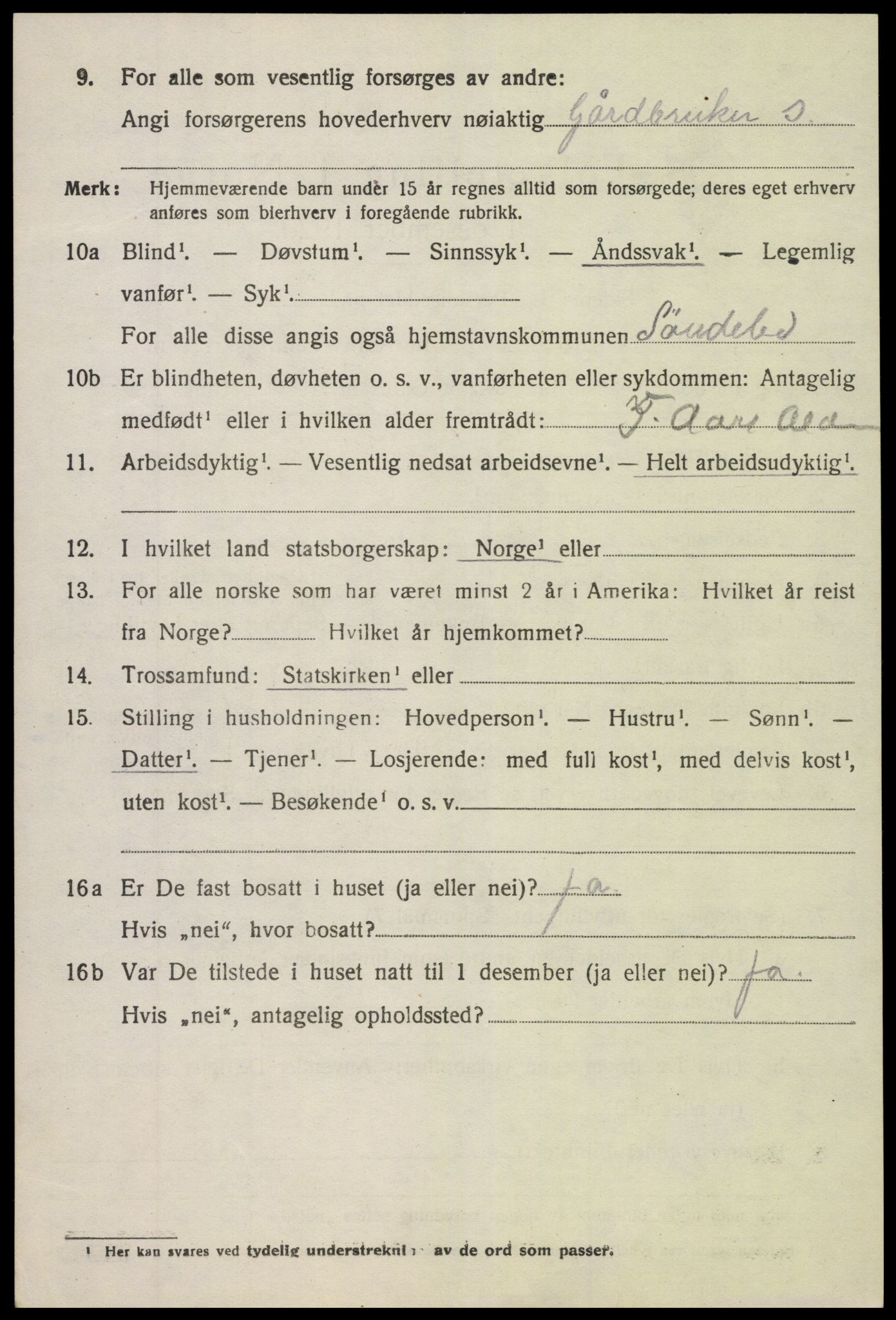 SAK, 1920 census for Søndeled, 1920, p. 3714