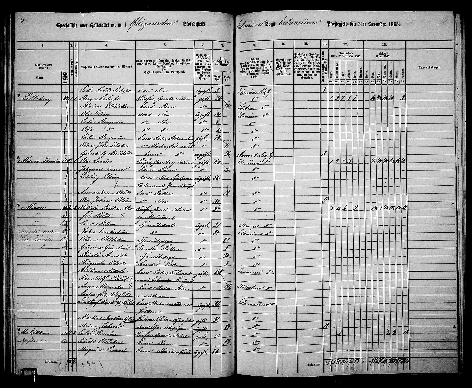 RA, 1865 census for Elverum, 1865, p. 61