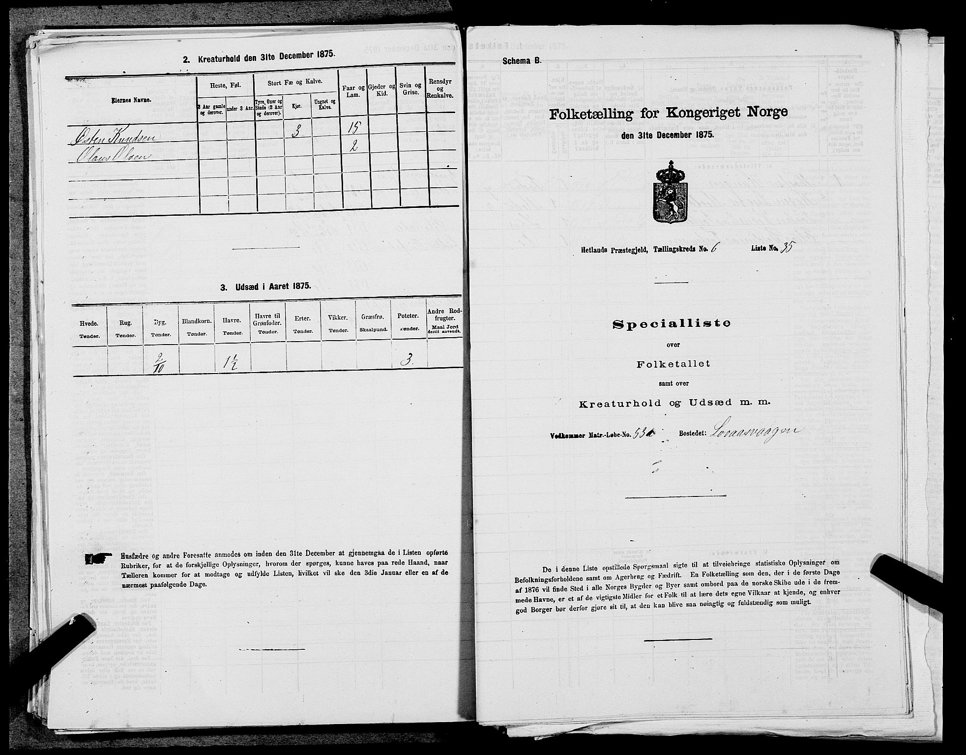 SAST, 1875 census for 1126P Hetland, 1875, p. 1421