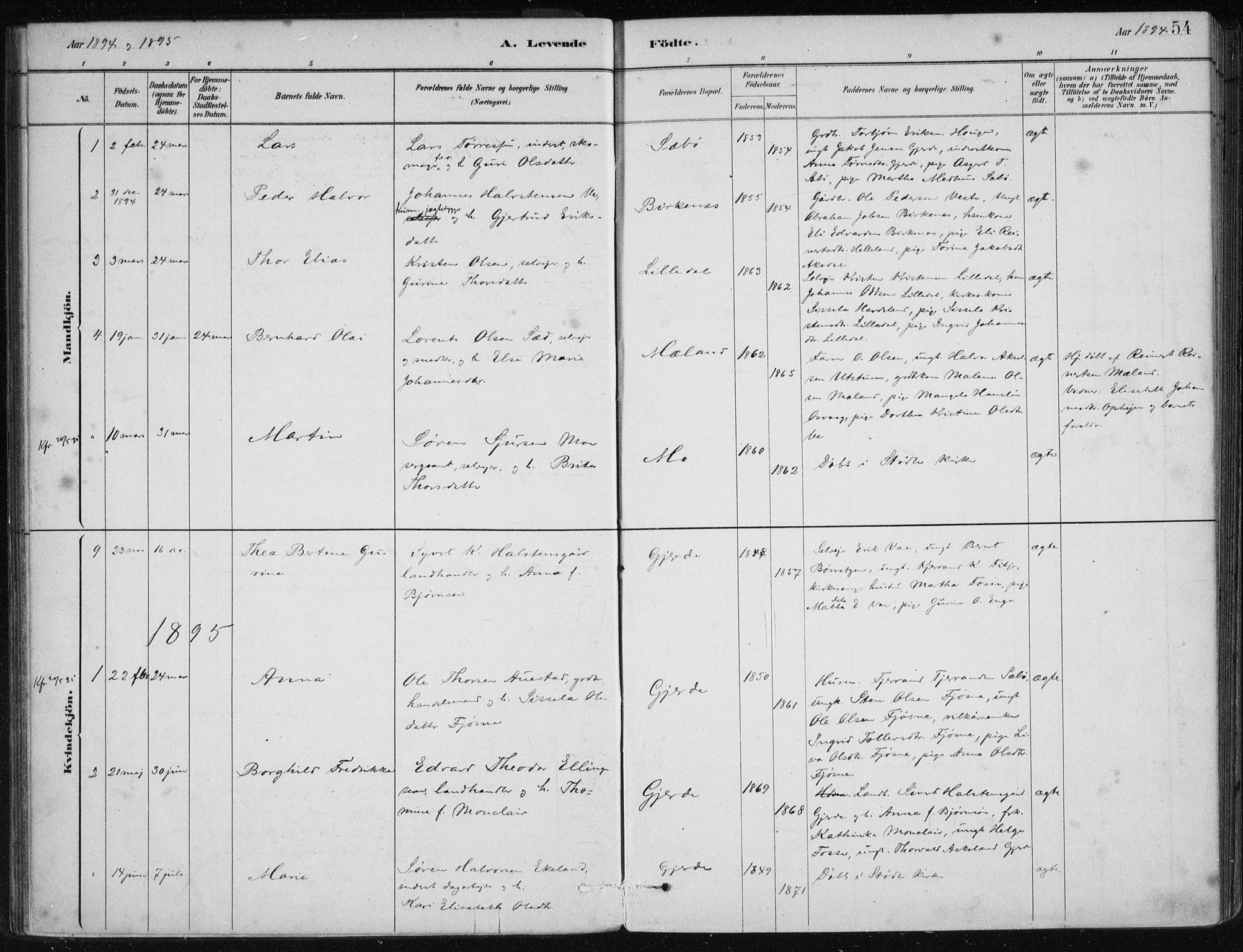 Etne sokneprestembete, AV/SAB-A-75001/H/Haa: Parish register (official) no. C  1, 1879-1919, p. 54